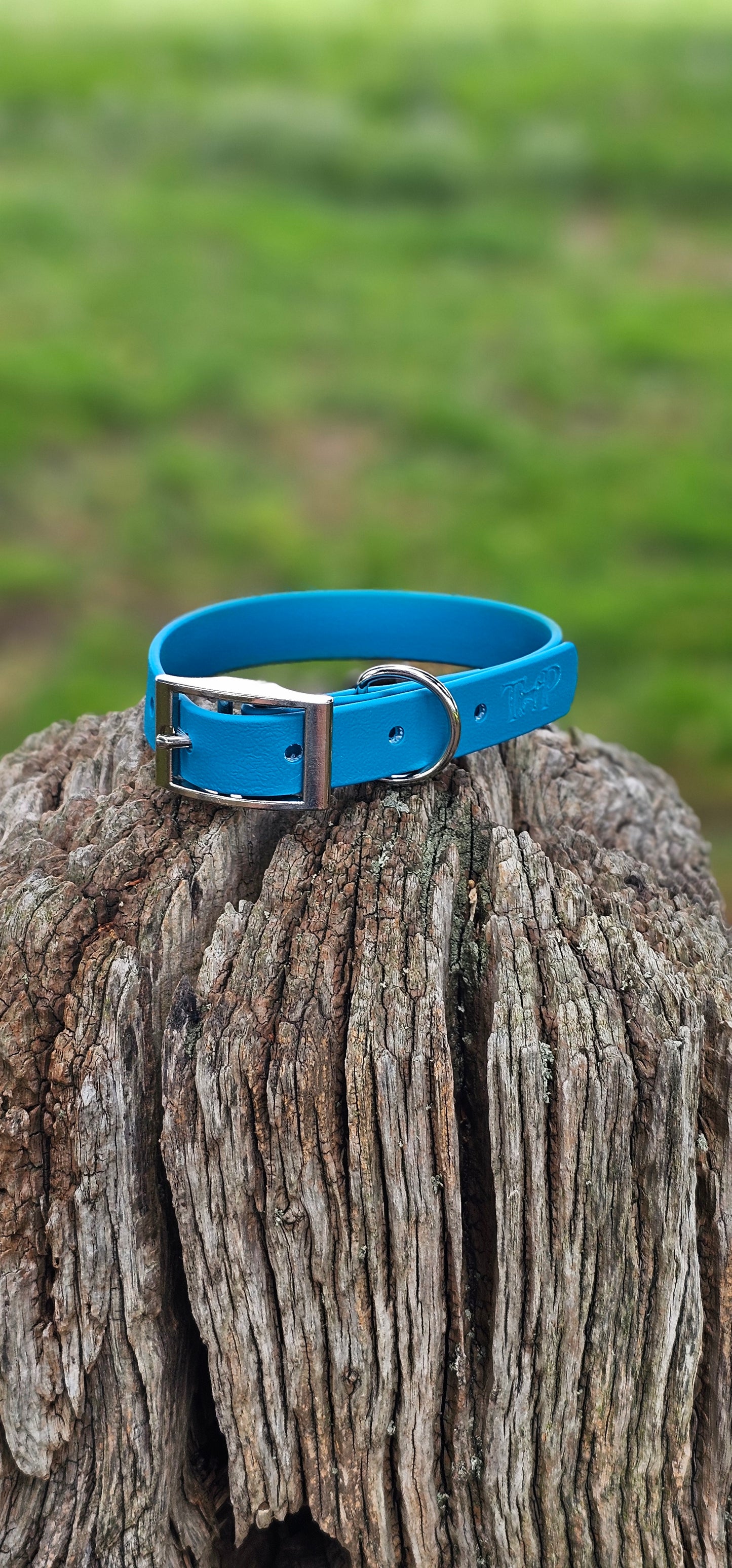 Lagune Waterproof BioThane© Dog Collar