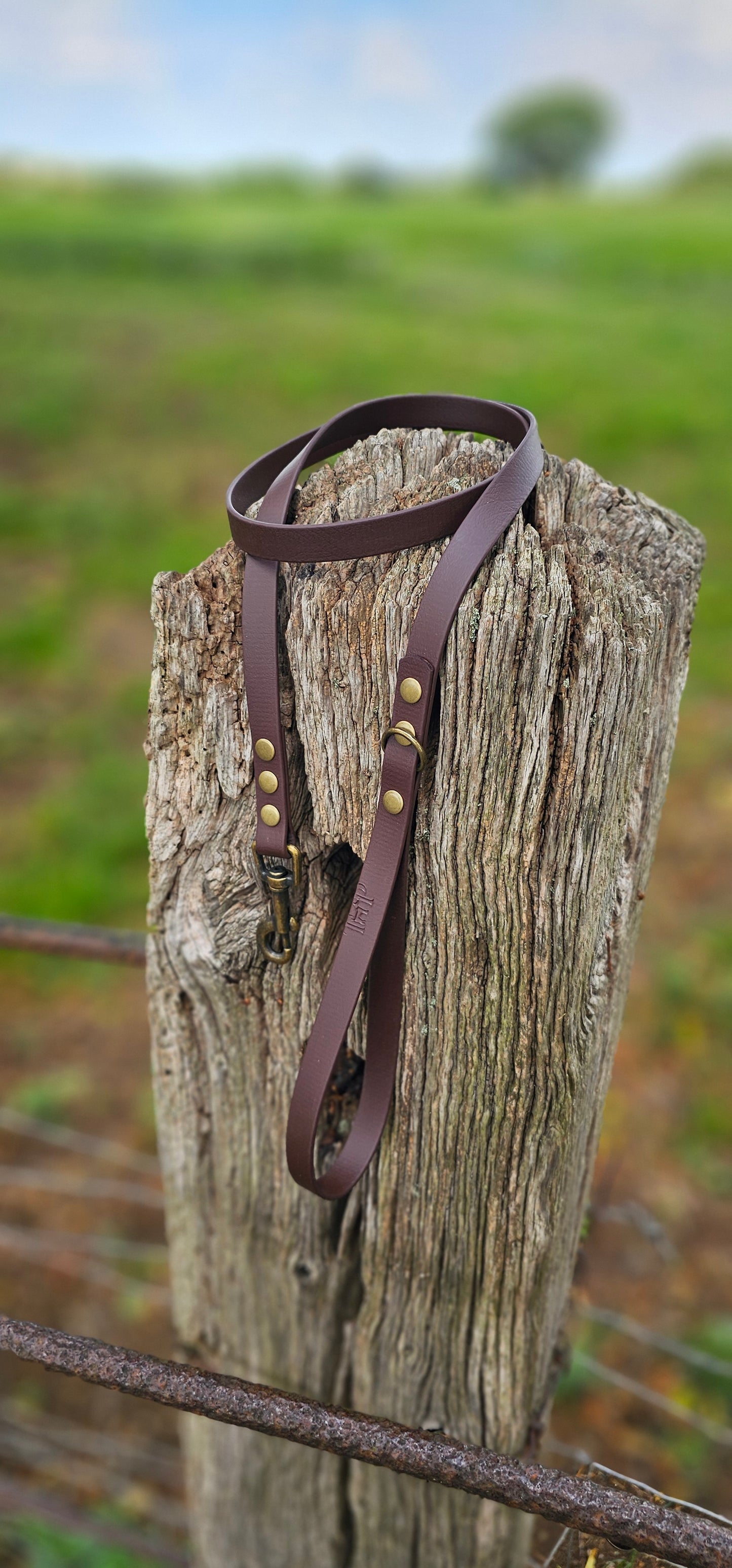 Dark Brown Waterproof BioThane© Dog Lead