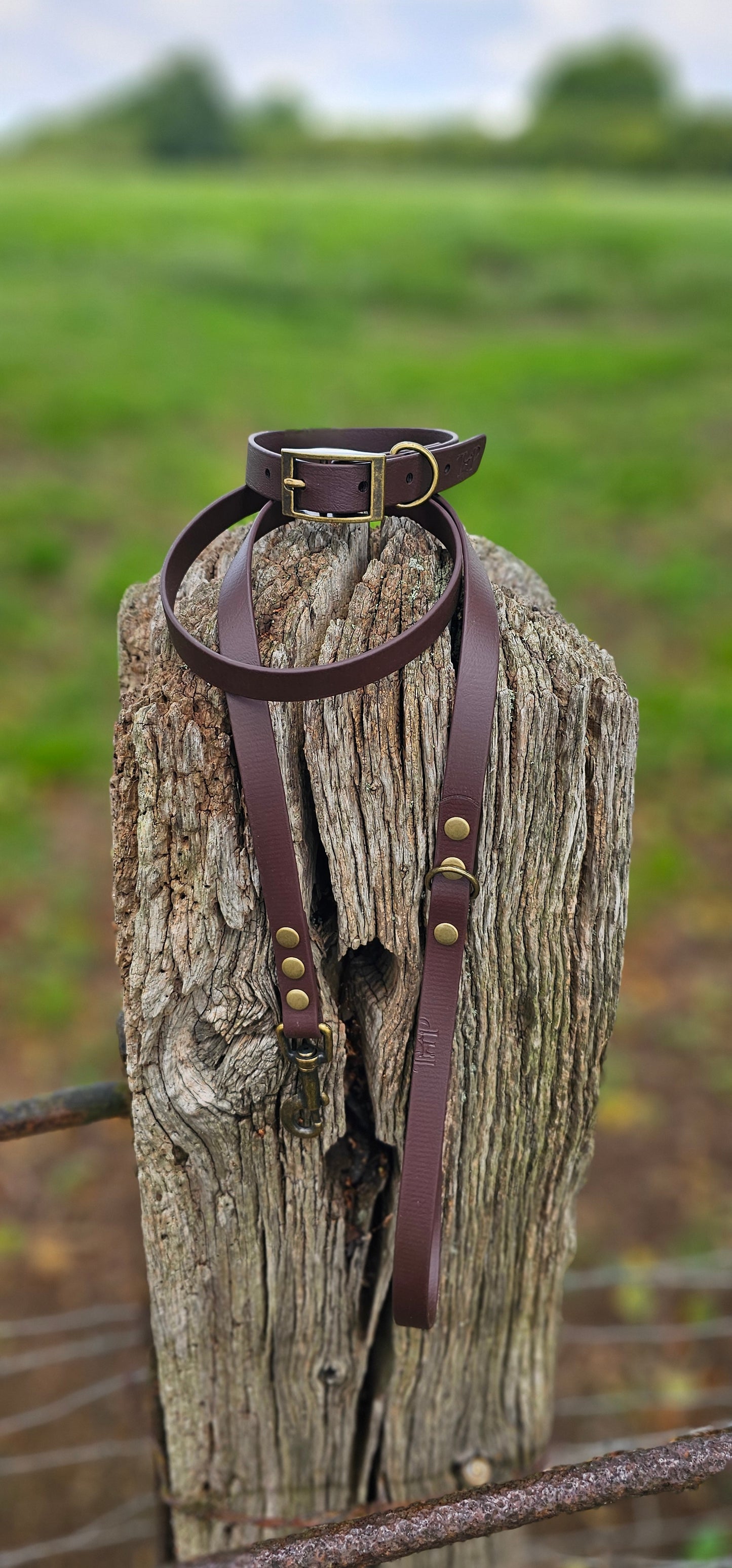 Dark Brown Waterproof BioThane© Dog Collar