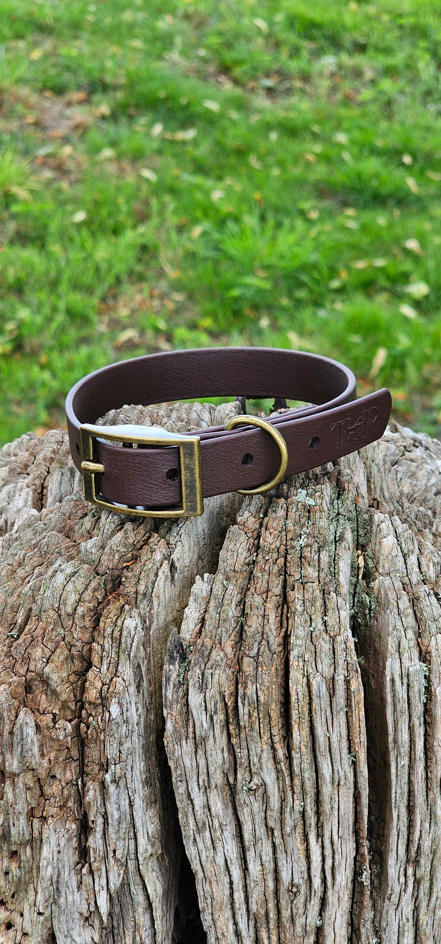 Dark Brown Waterproof BioThane© Dog Collar
