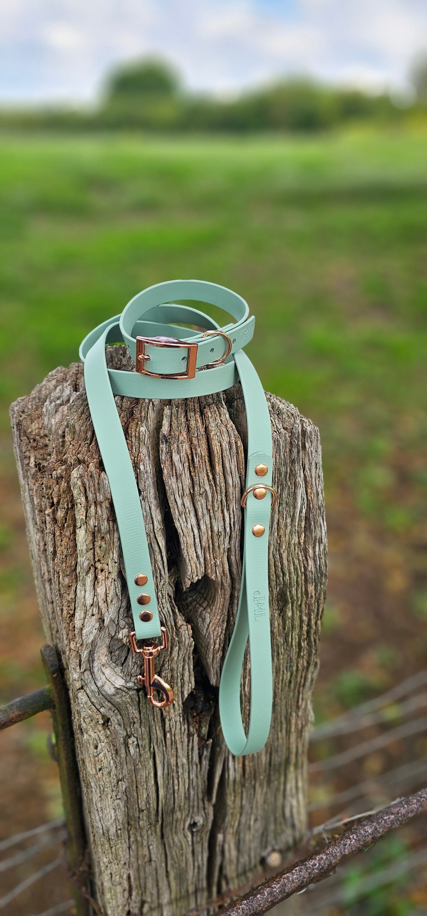 Sage Waterproof BioThane© Dog Collar