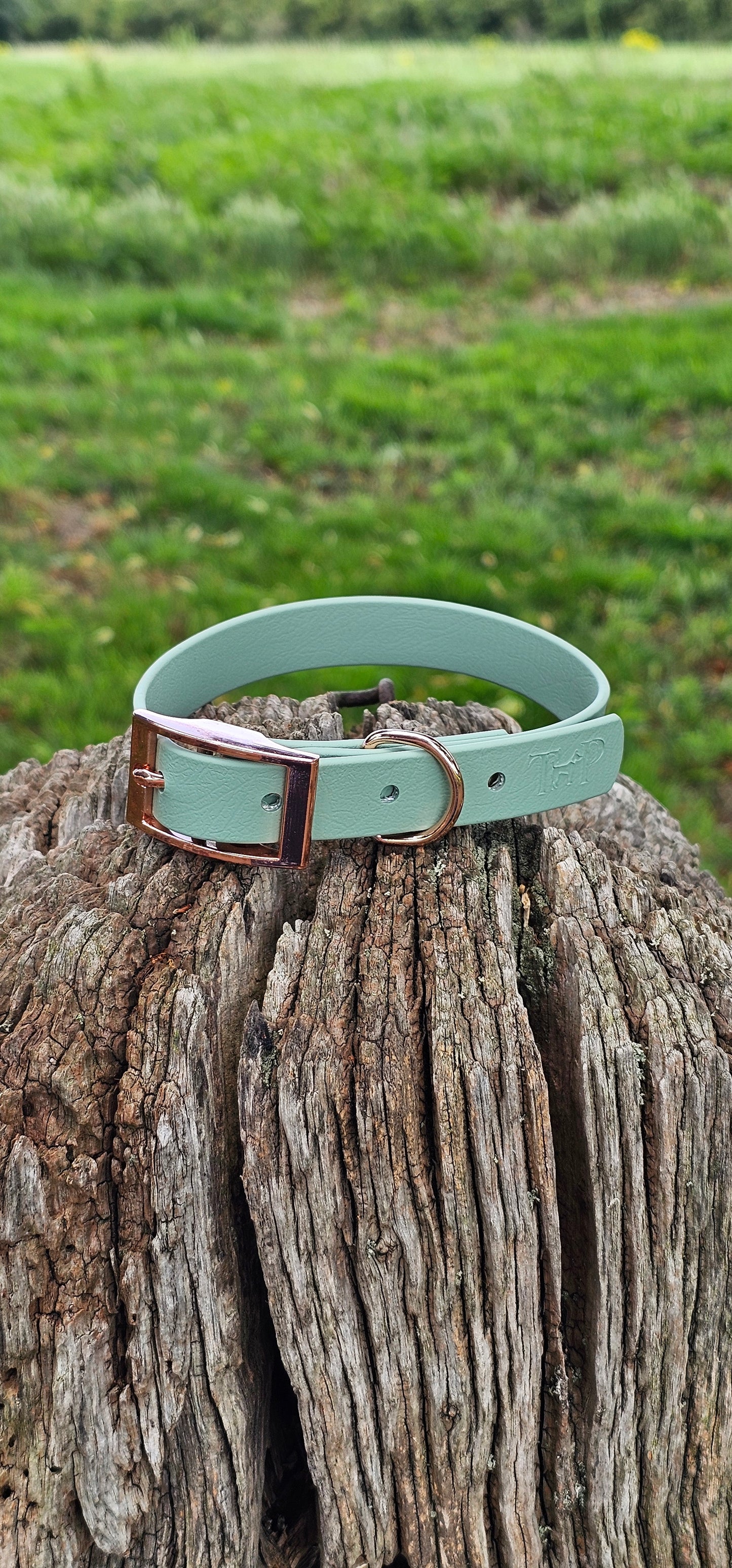 Sage Waterproof BioThane© Dog Collar