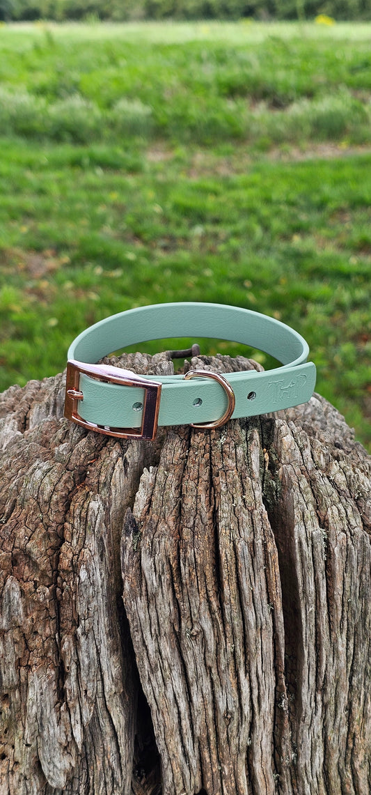 Sage Waterproof BioThane© Dog Collar
