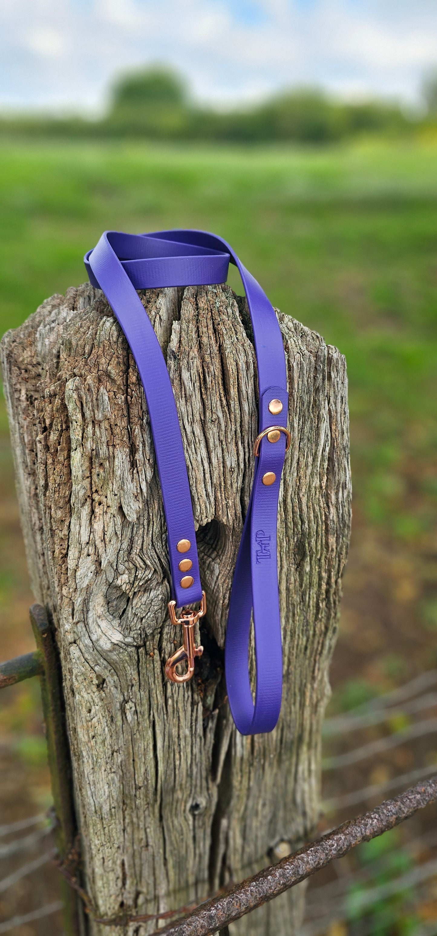 Purple Waterproof BioThane© Dog Lead