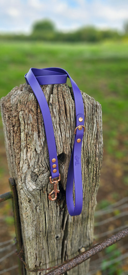 Purple Waterproof BioThane© Dog Lead
