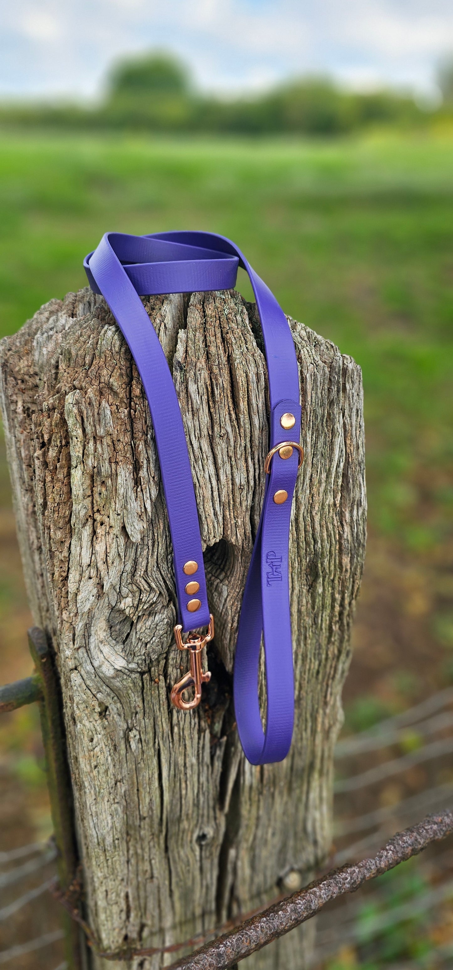 PURPLE - Waterproof BioThane© Dog Collar/Lead/Bundle