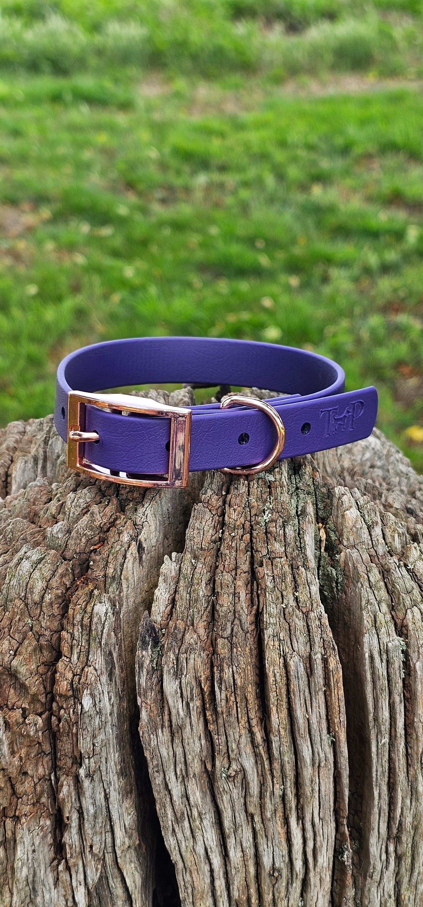 PURPLE - Waterproof BioThane© Dog Collar/Lead/Bundle