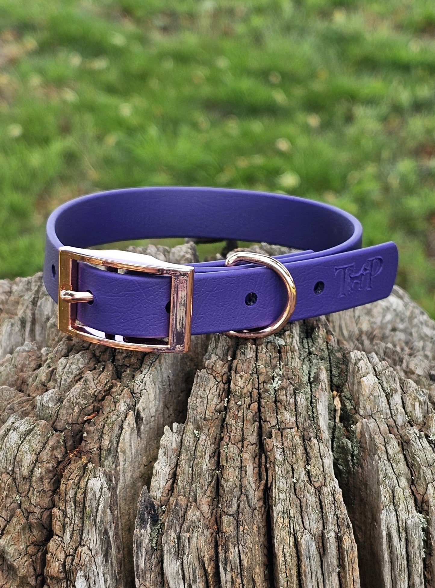 Purple - Waterproof BioThane© Dog Collar