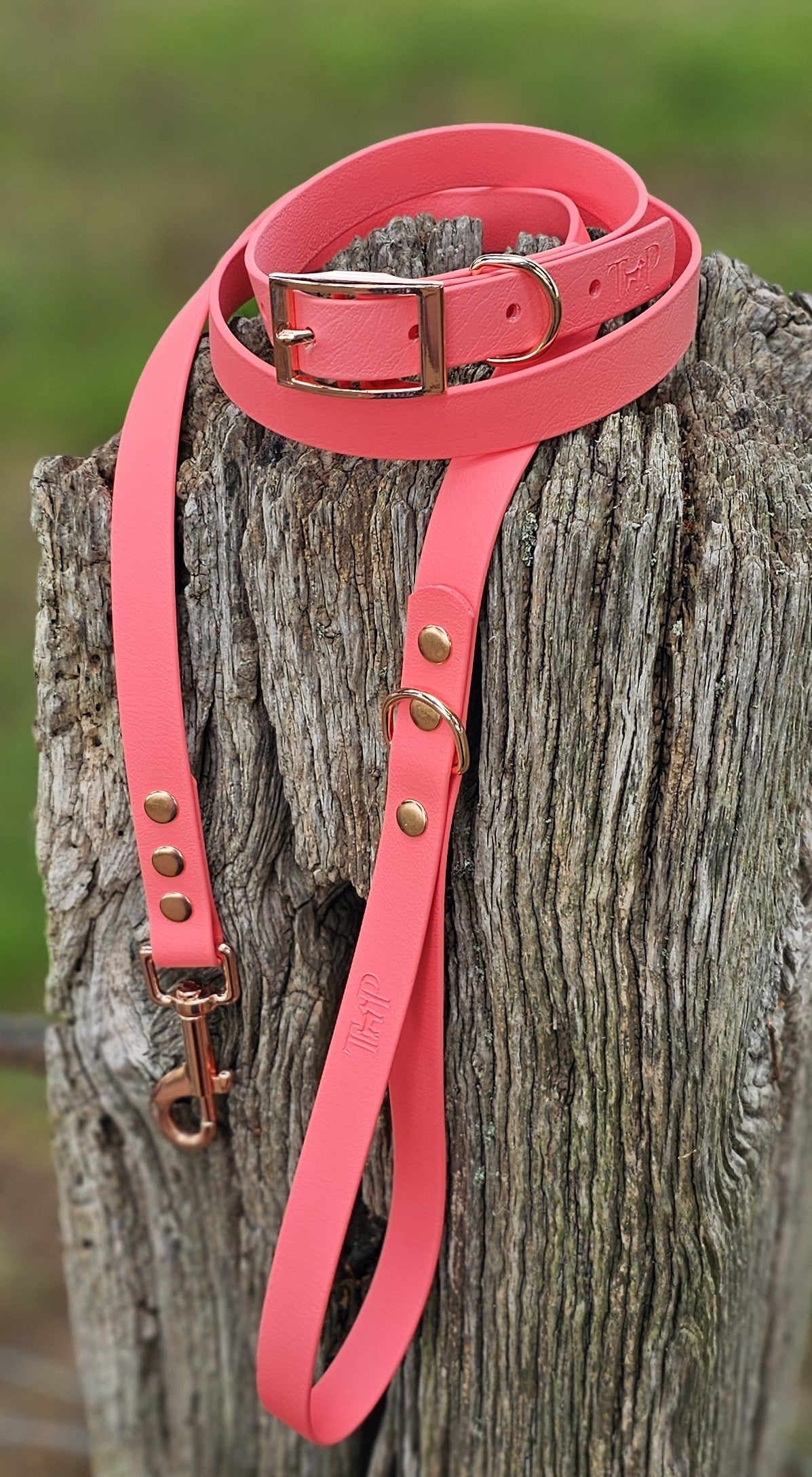 Coral - Classic waterproof BioThane© Dog Collar