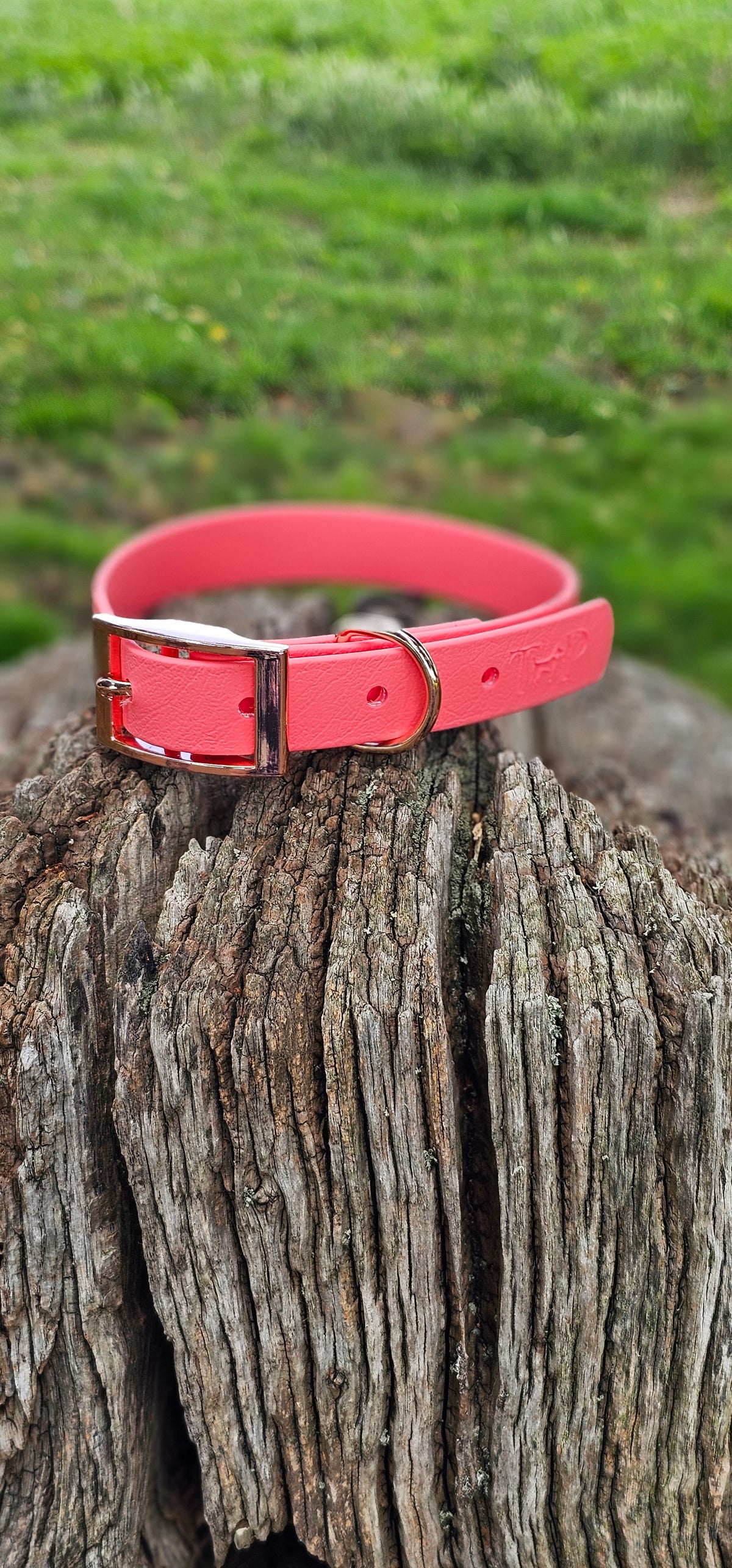 Coral - Classic waterproof BioThane© Dog Collar