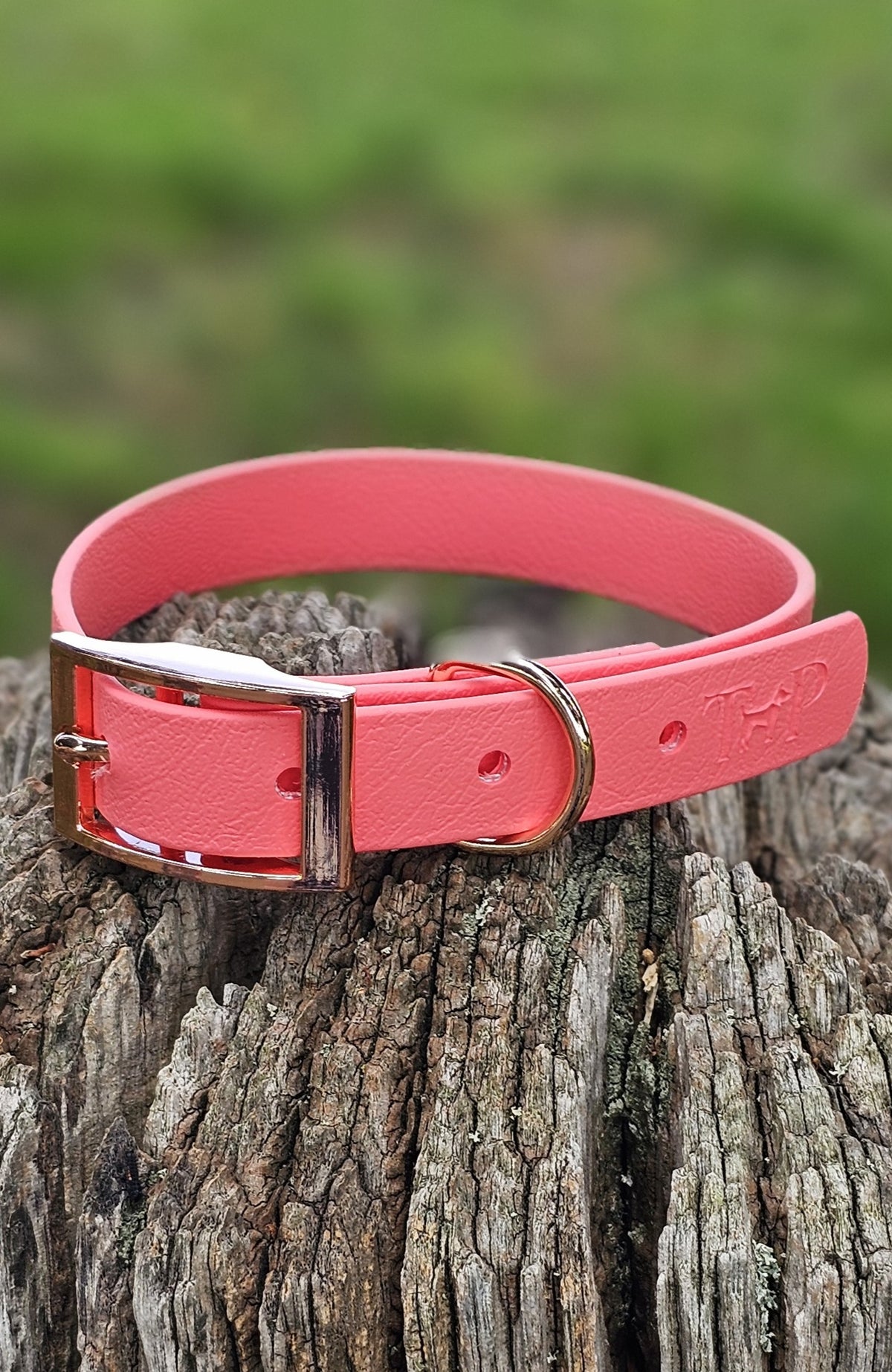 Coral - Classic waterproof BioThane© Dog Collar