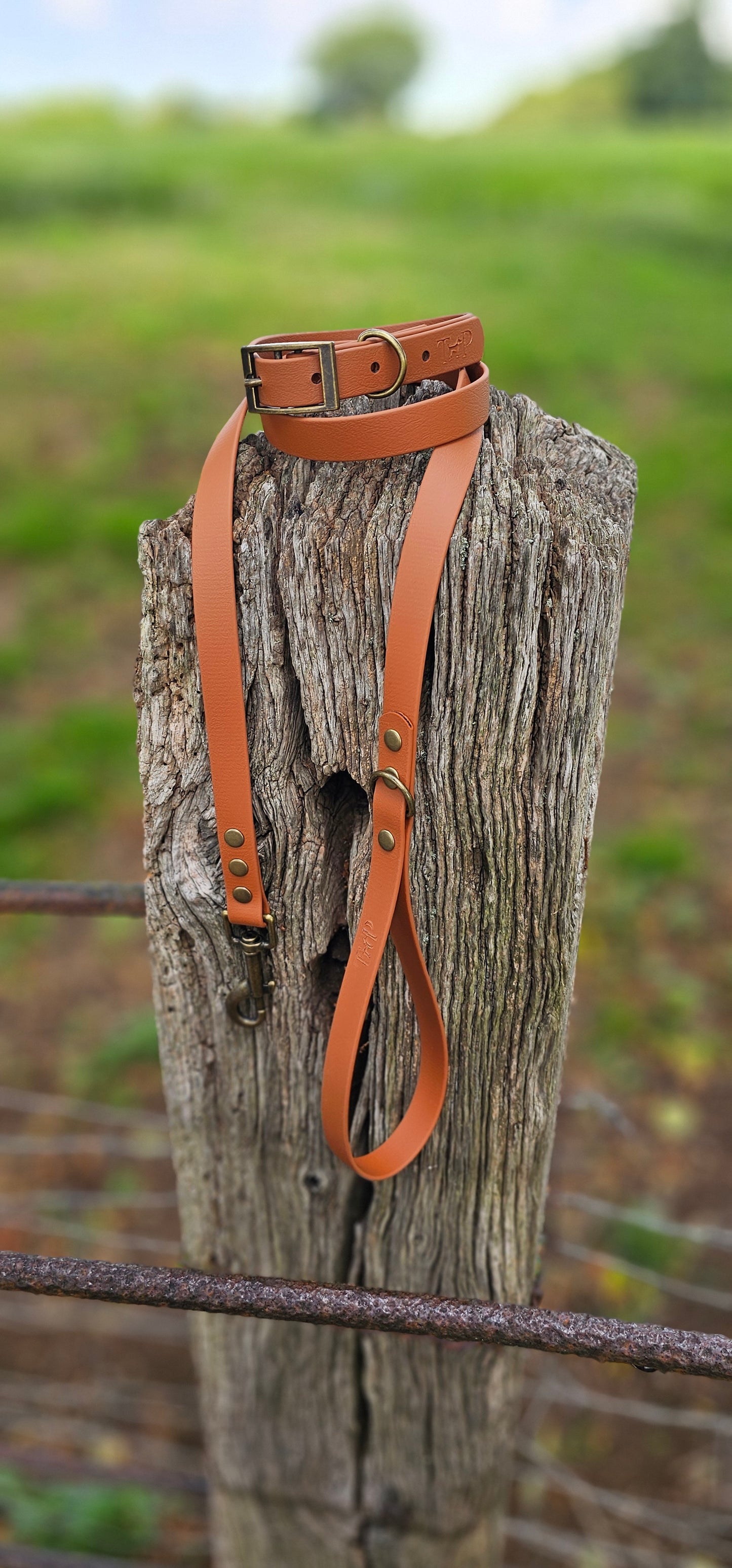 Tan - Waterproof BioThane© Dog Collar