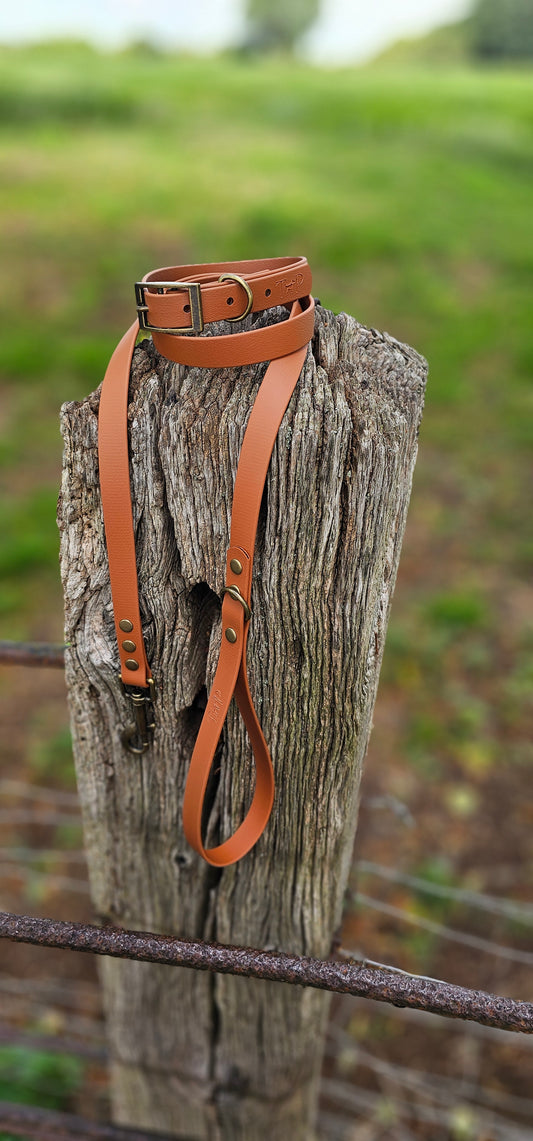 LIGHT BROWN - Waterproof BioThane© Dog Collar/Lead/Bundle