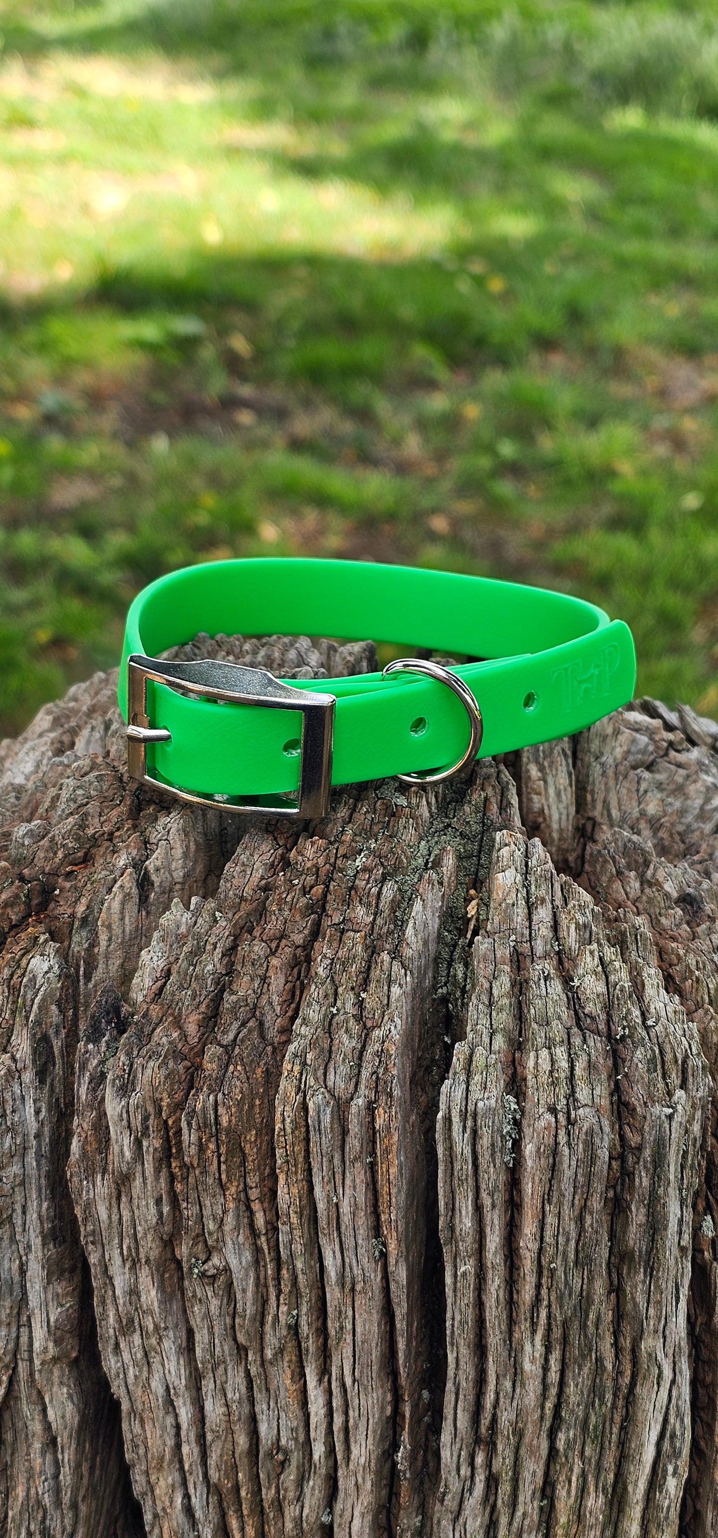 Neon Green Waterproof BioThane© Dog Collar
