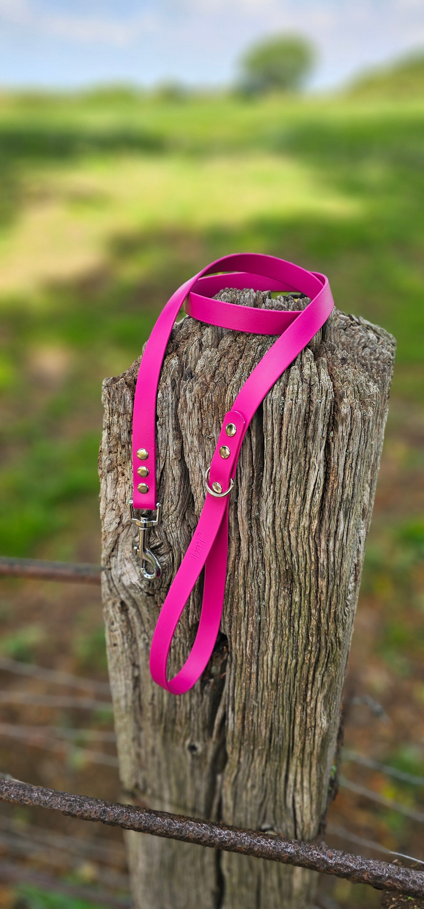 Magenta Waterproof BioThane© Dog Lead