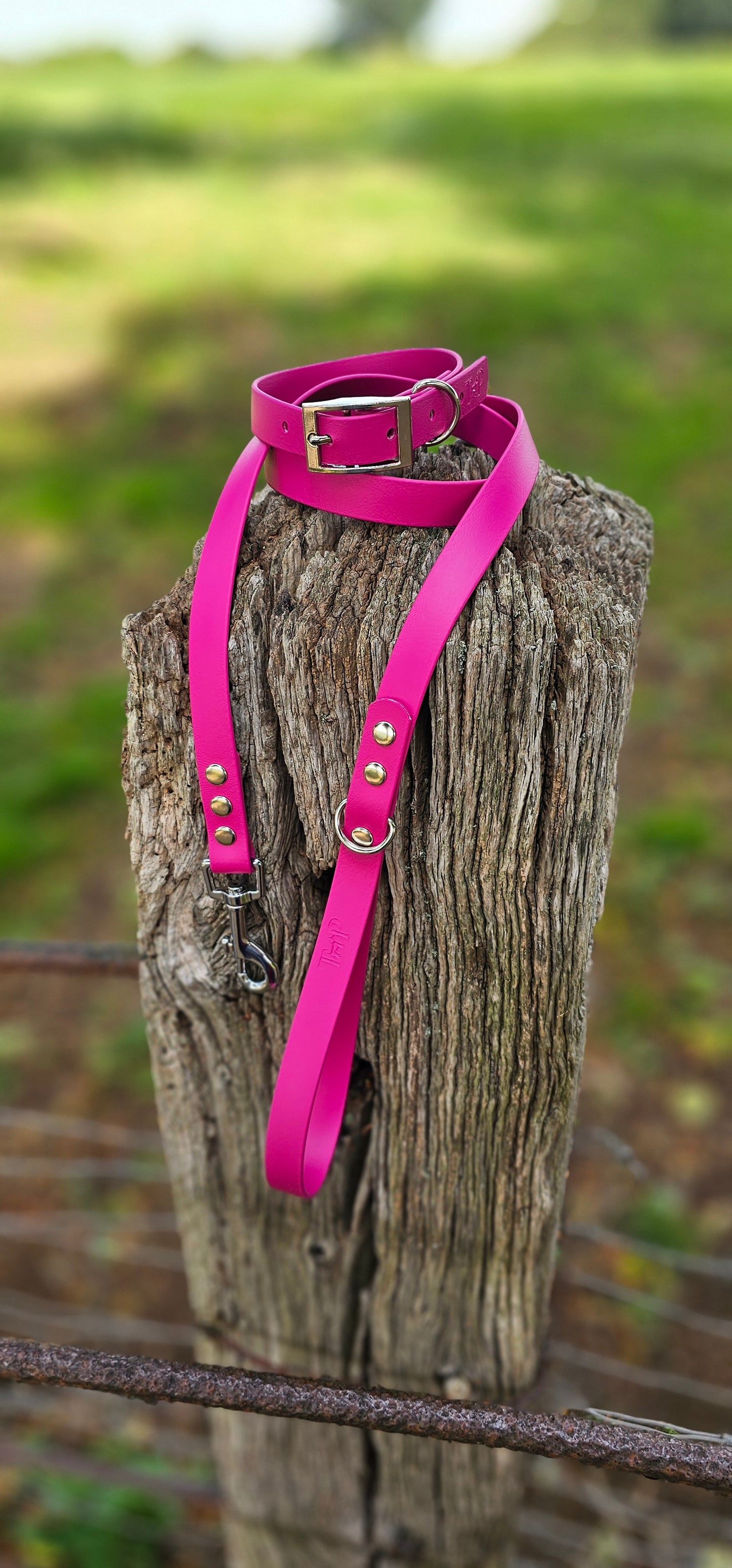 Magenta Waterproof BioThane© Dog Collar