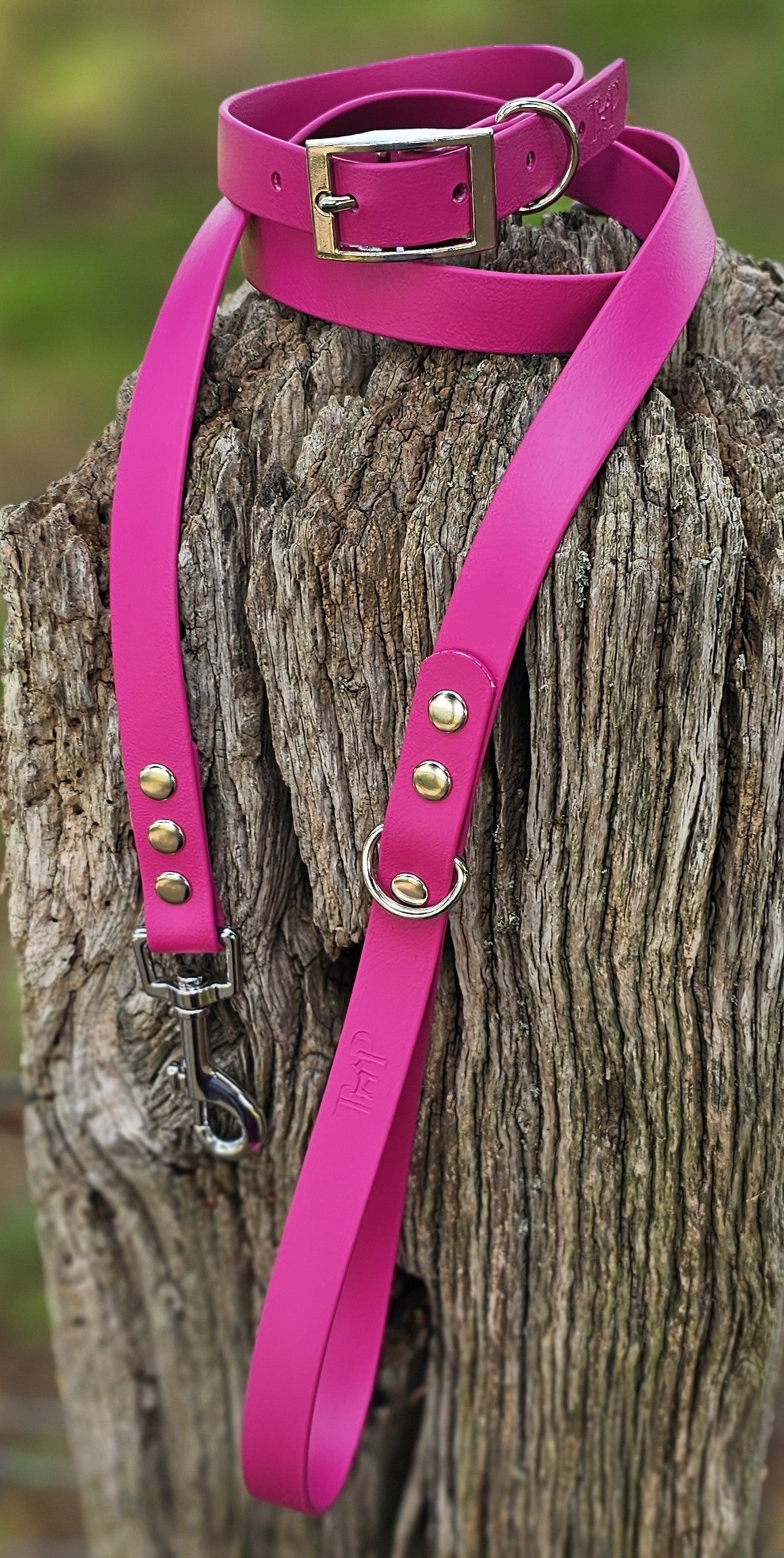 Magenta - Classic waterproof BioThane© Dog Collar