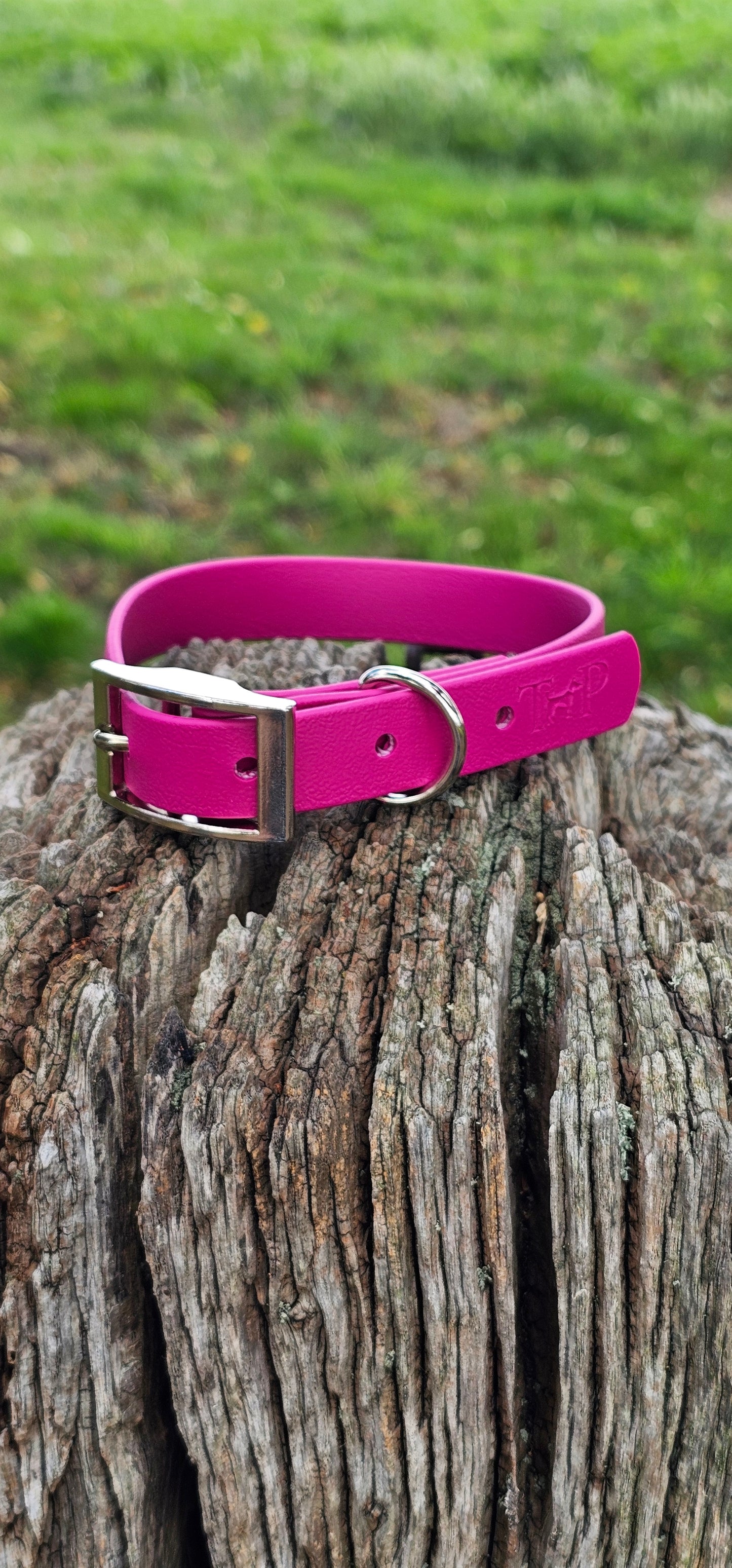 Magenta Waterproof BioThane© Dog Collar