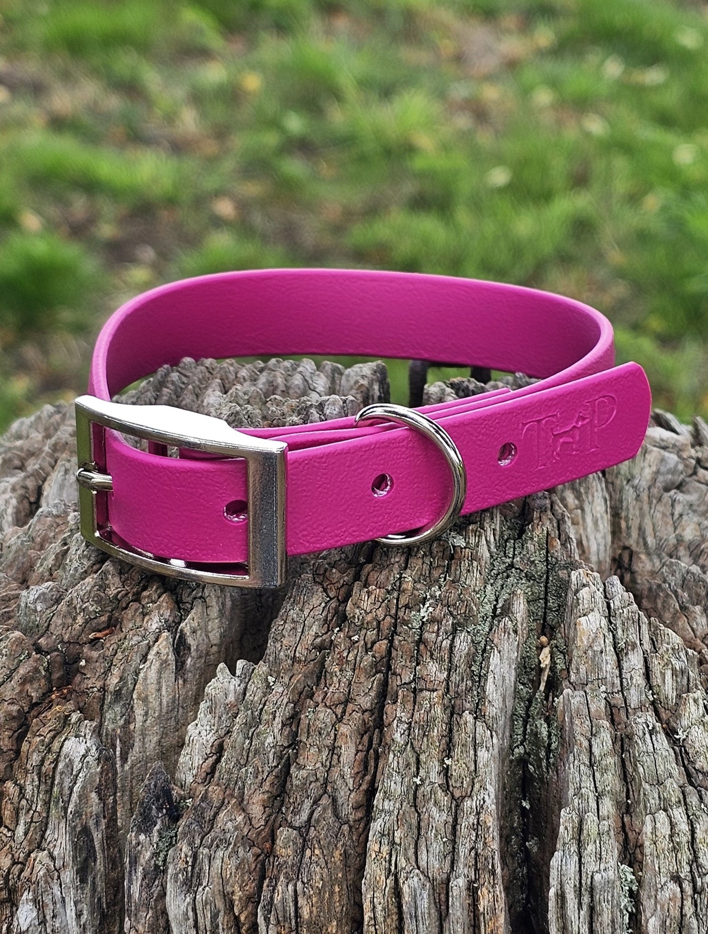 Passion Pink - Waterproof BioThane© Dog Collar