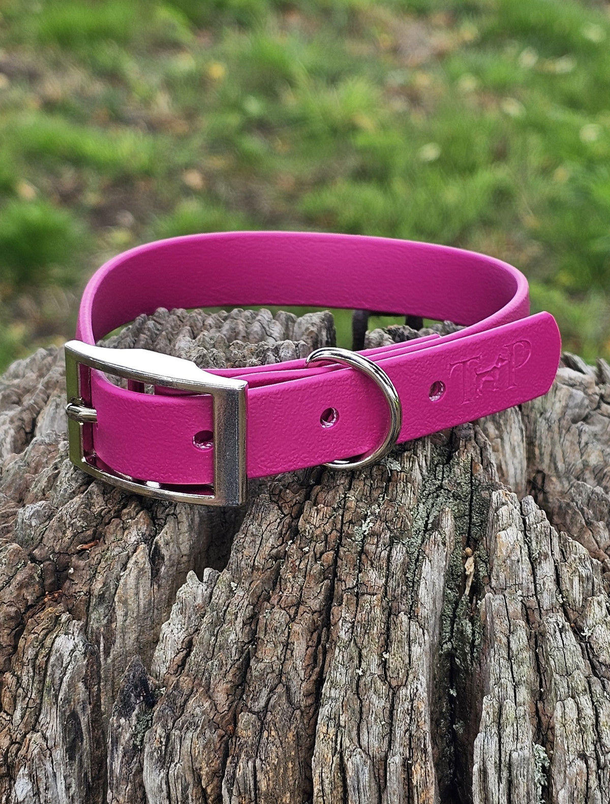 Magenta - Classic waterproof BioThane© Dog Collar