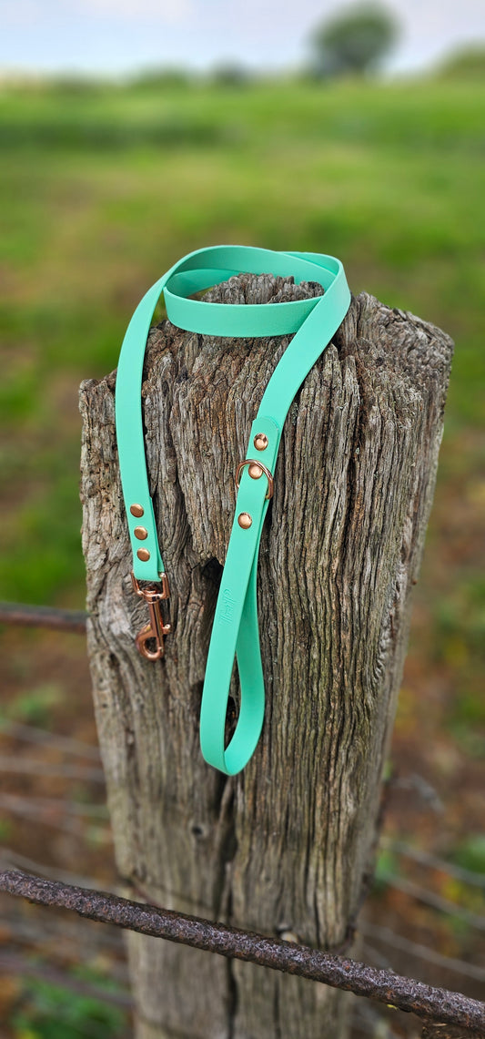 Mint Waterproof BioThane© Dog Lead