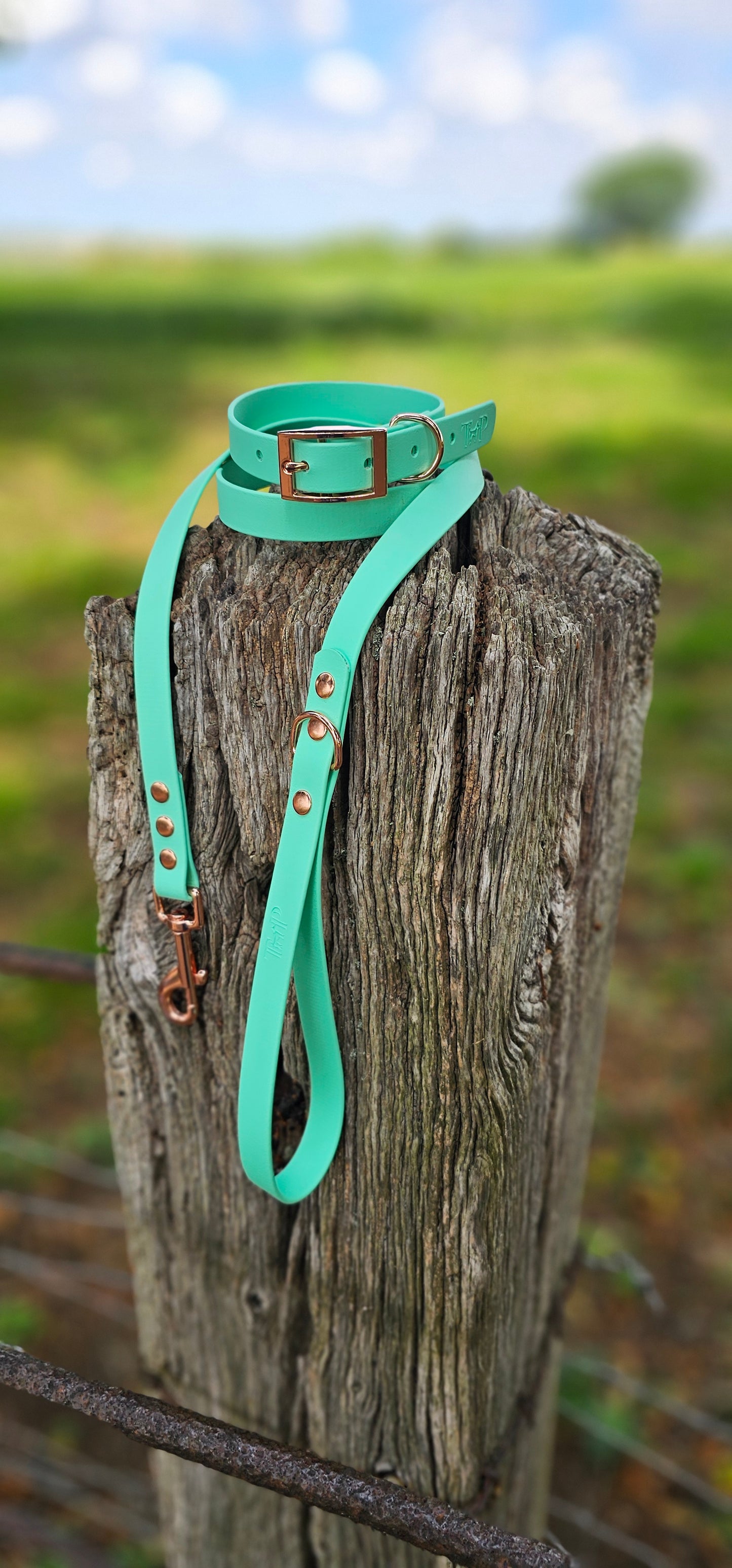 Mint Waterproof BioThane© Dog Collar
