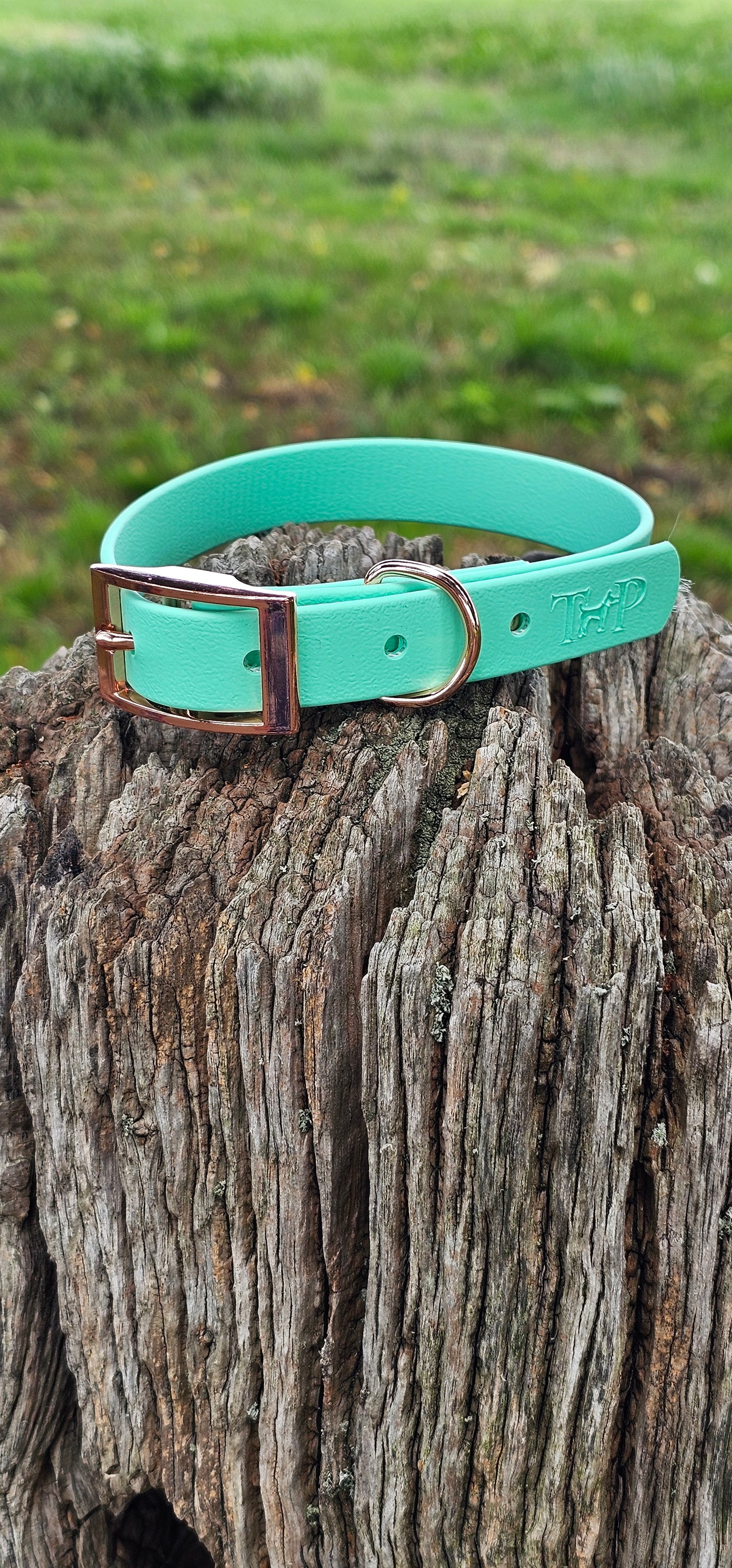 Mint Waterproof BioThane© Dog Collar