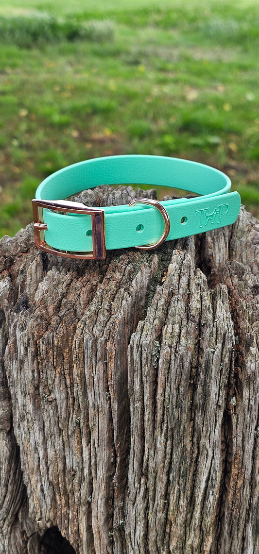Mint Waterproof BioThane© Dog Collar