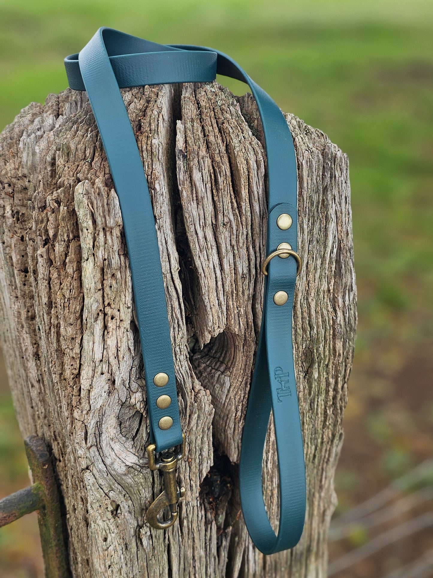 Dark Green Waterproof BioThane© Dog Lead