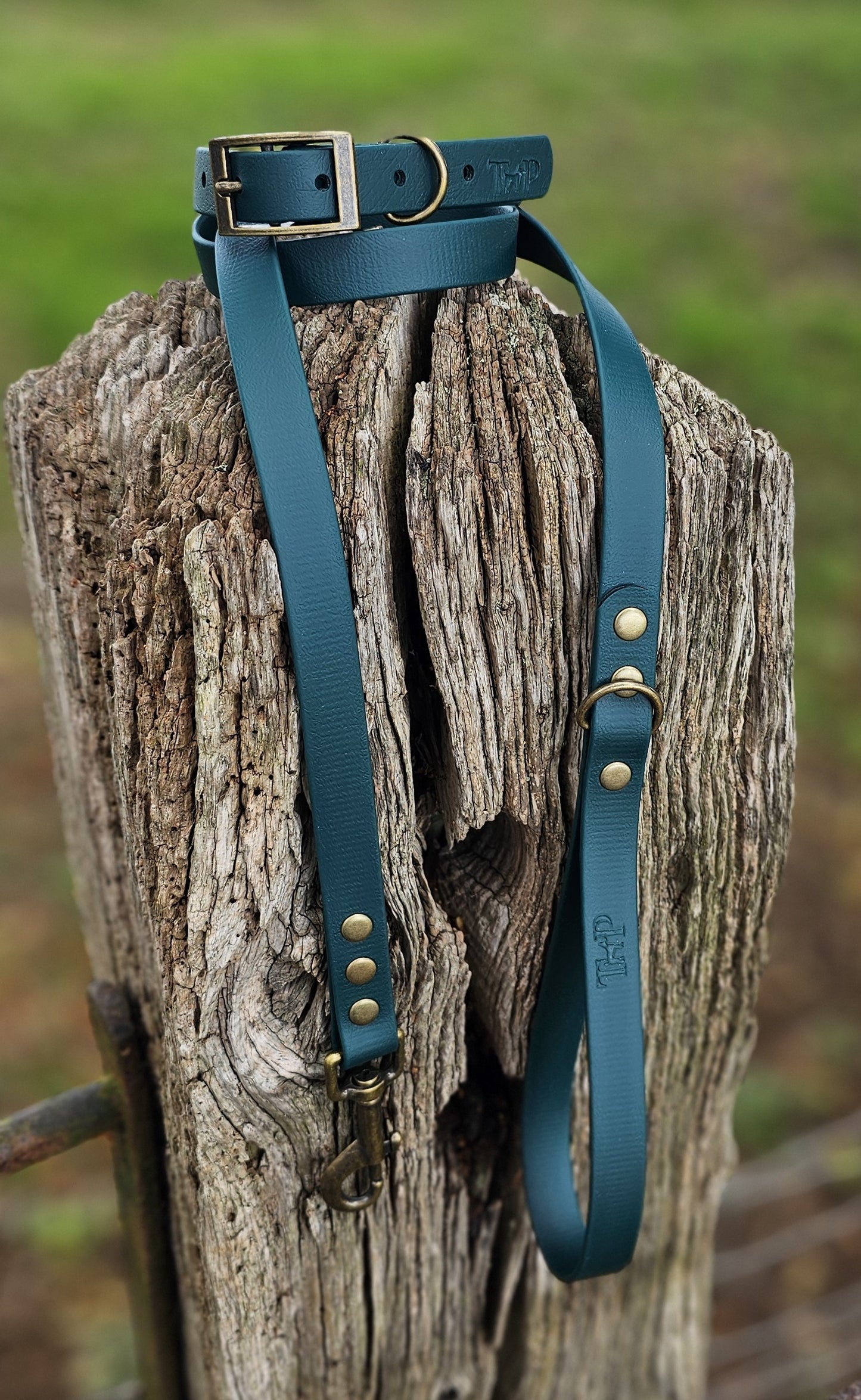 Dark Green - Waterproof BioThane© Dog Collar