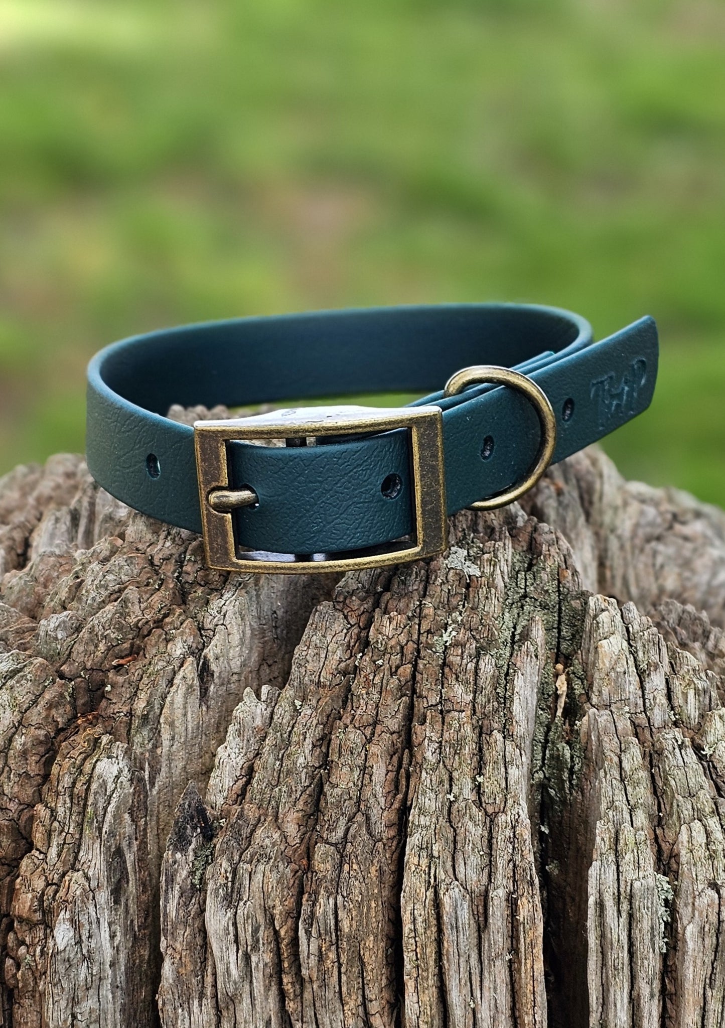 Dark Green - Waterproof BioThane© Dog Collar