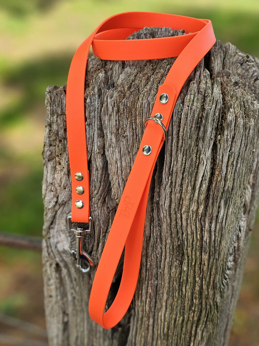 Neon Orange Waterproof BioThane© Dog Lead