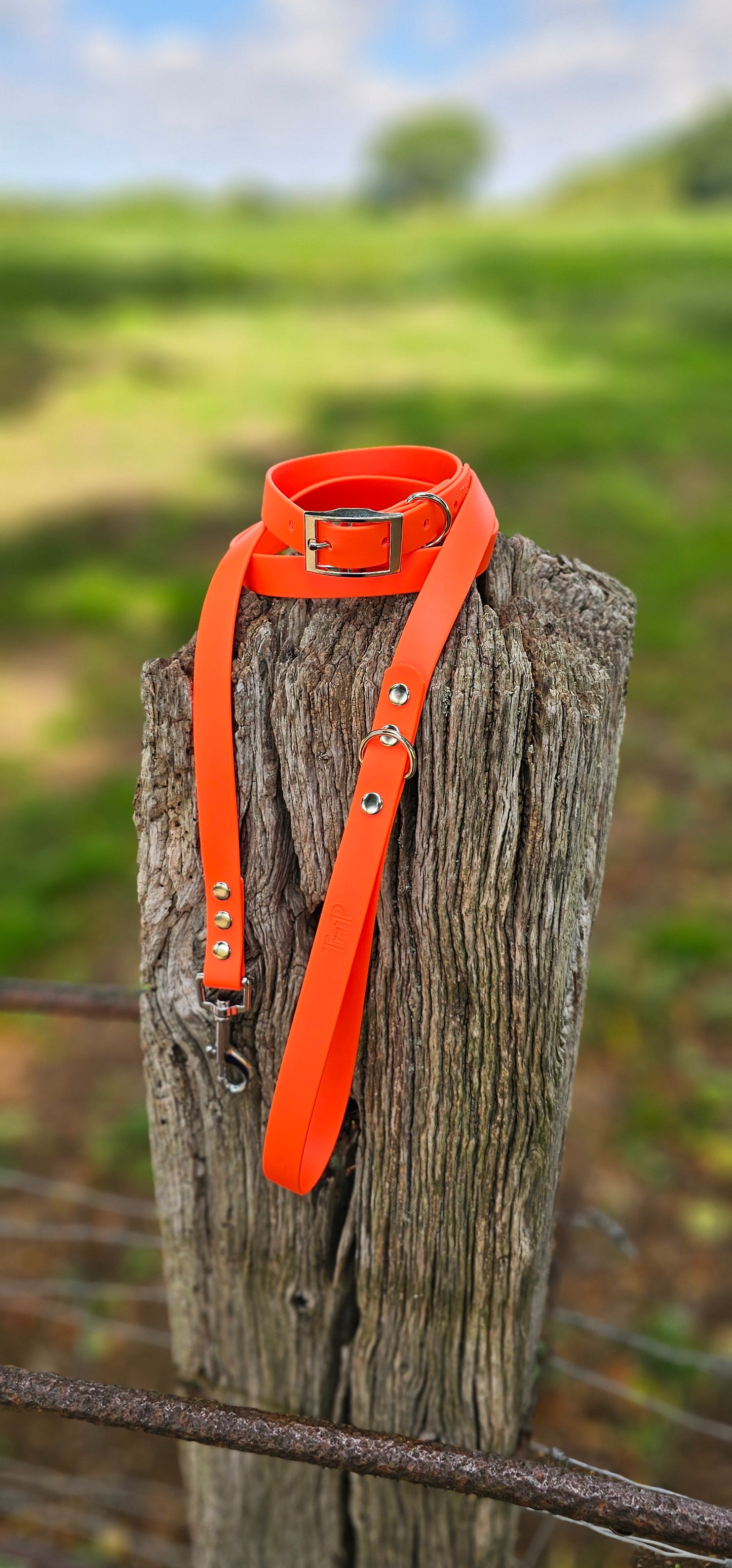 Neon Orange Waterproof BioThane© Dog Collar