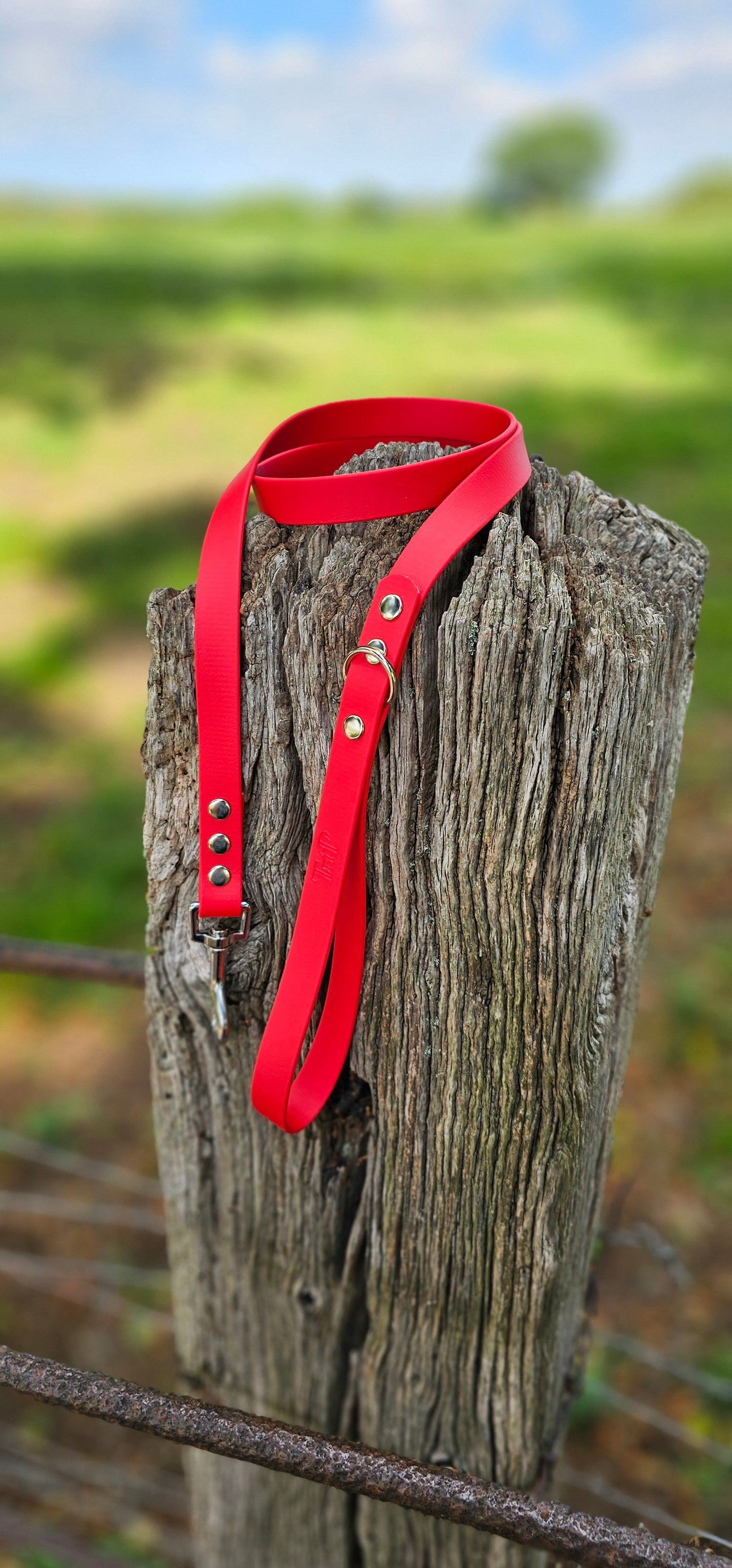 Red Waterproof BioThane© Dog Lead