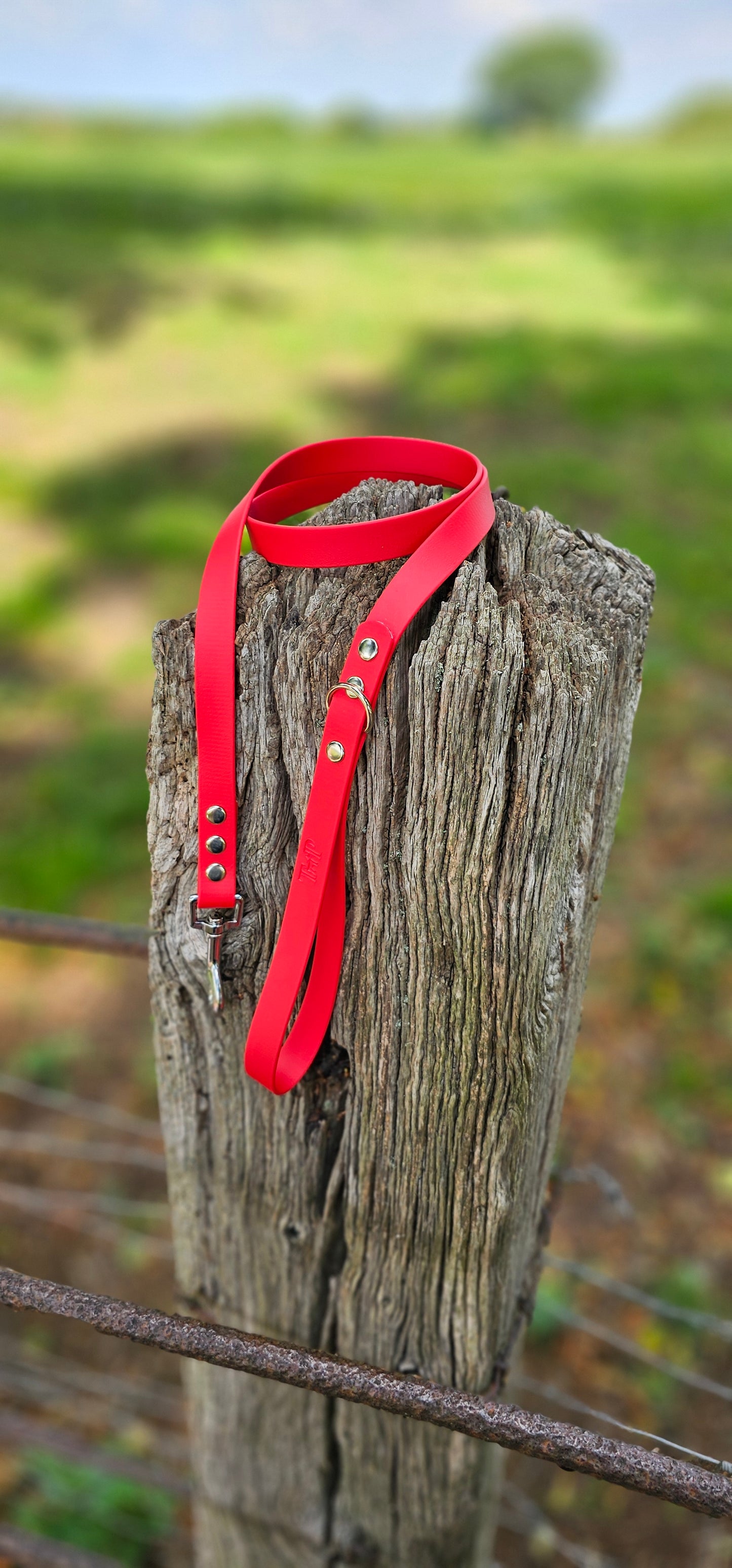 RED - Waterproof BioThane© Dog Collar / Dog Lead