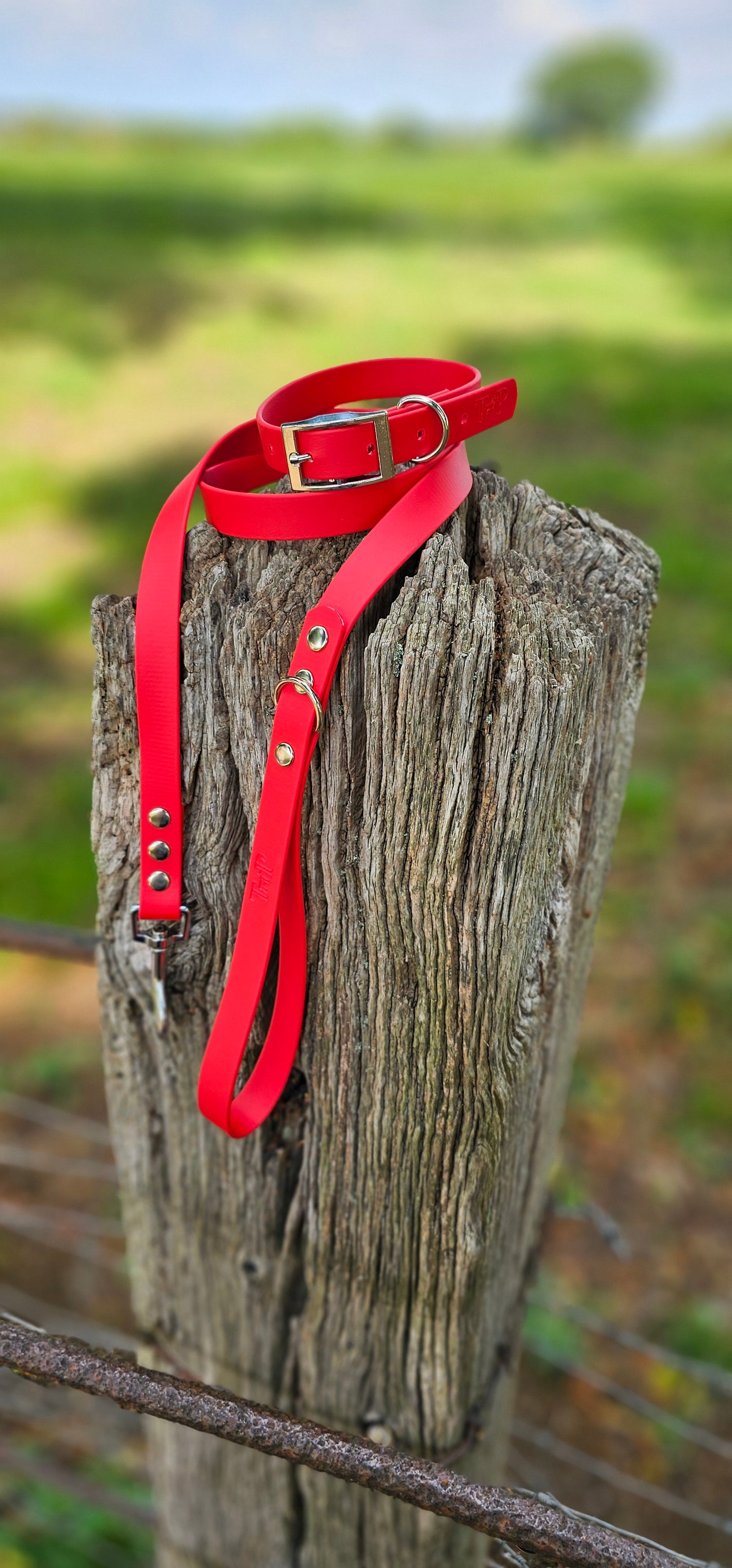 RED - Waterproof BioThane© Dog Collar / Dog Lead