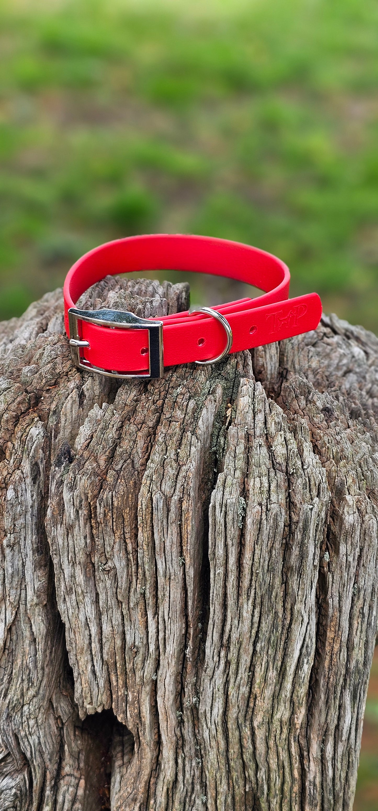 Red Waterproof BioThane© Dog Collar