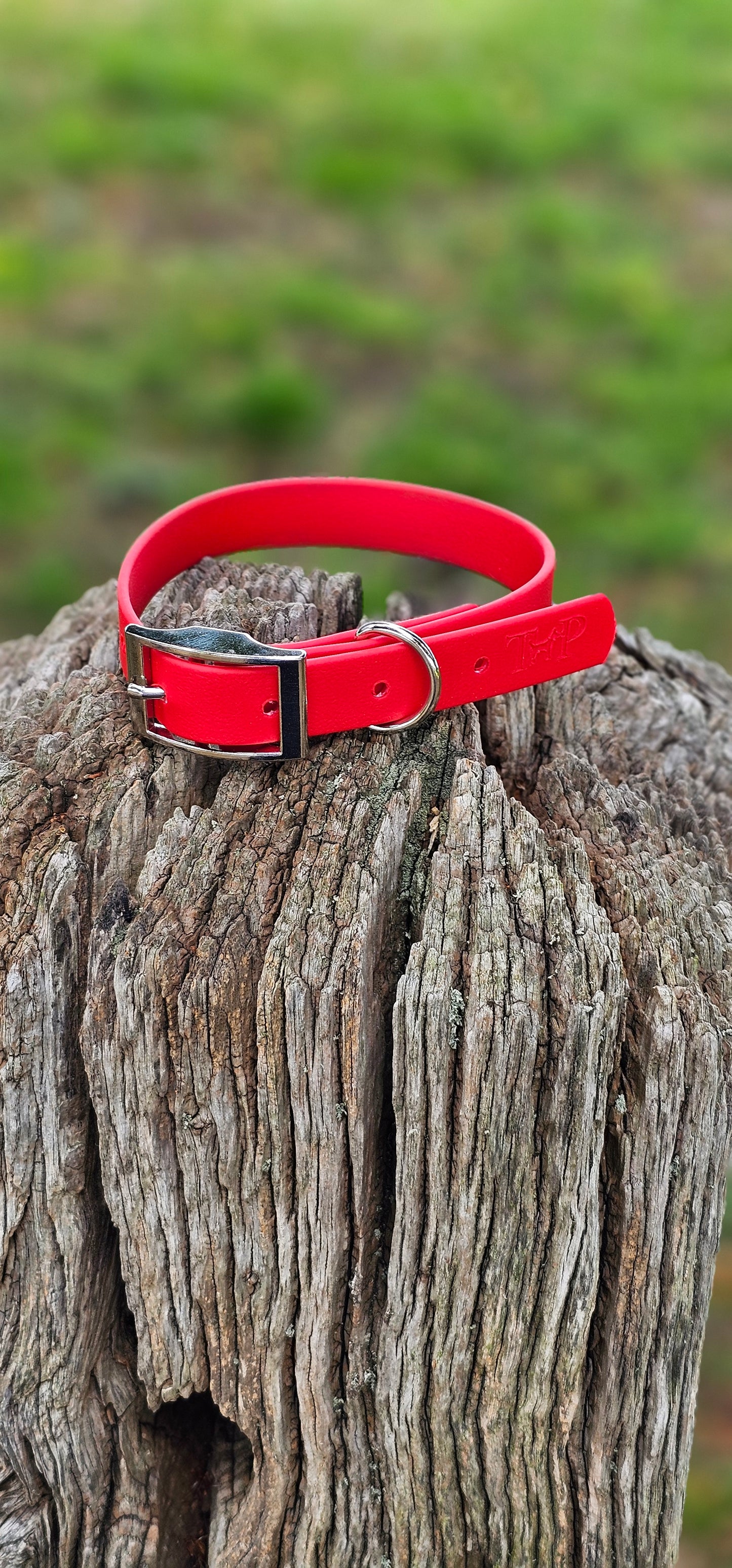 RED - Waterproof BioThane© Dog Collar / Dog Lead