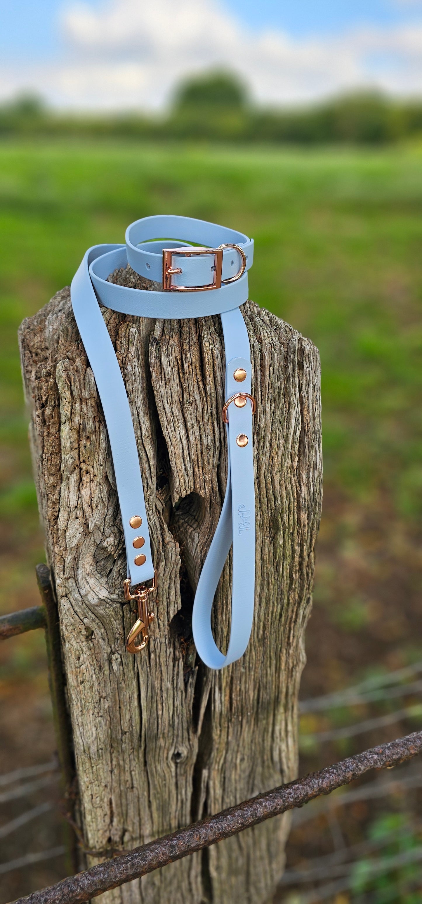 Baby Blue Waterproof BioThane© Dog Lead