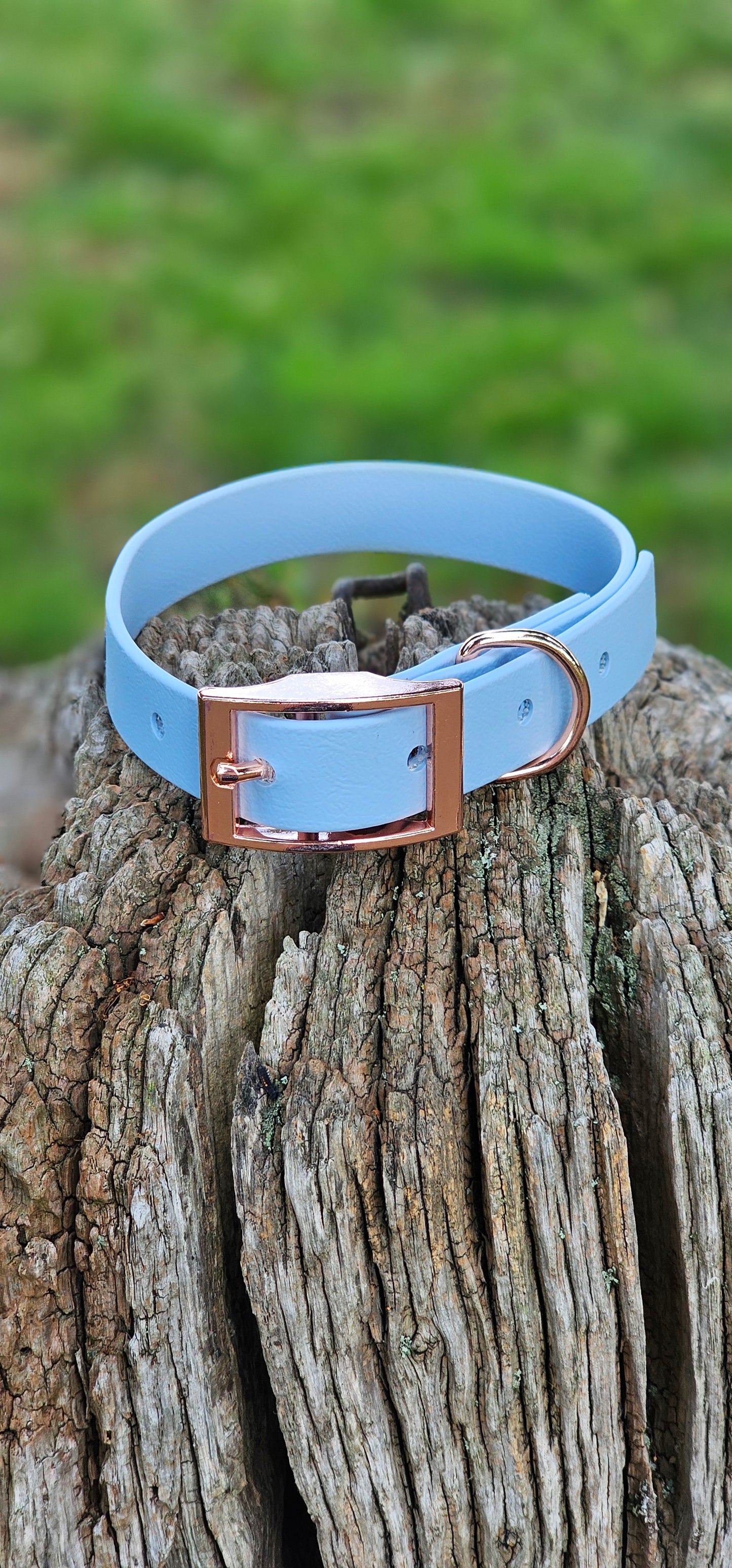 Baby Blue Waterproof BioThane© Dog Collar