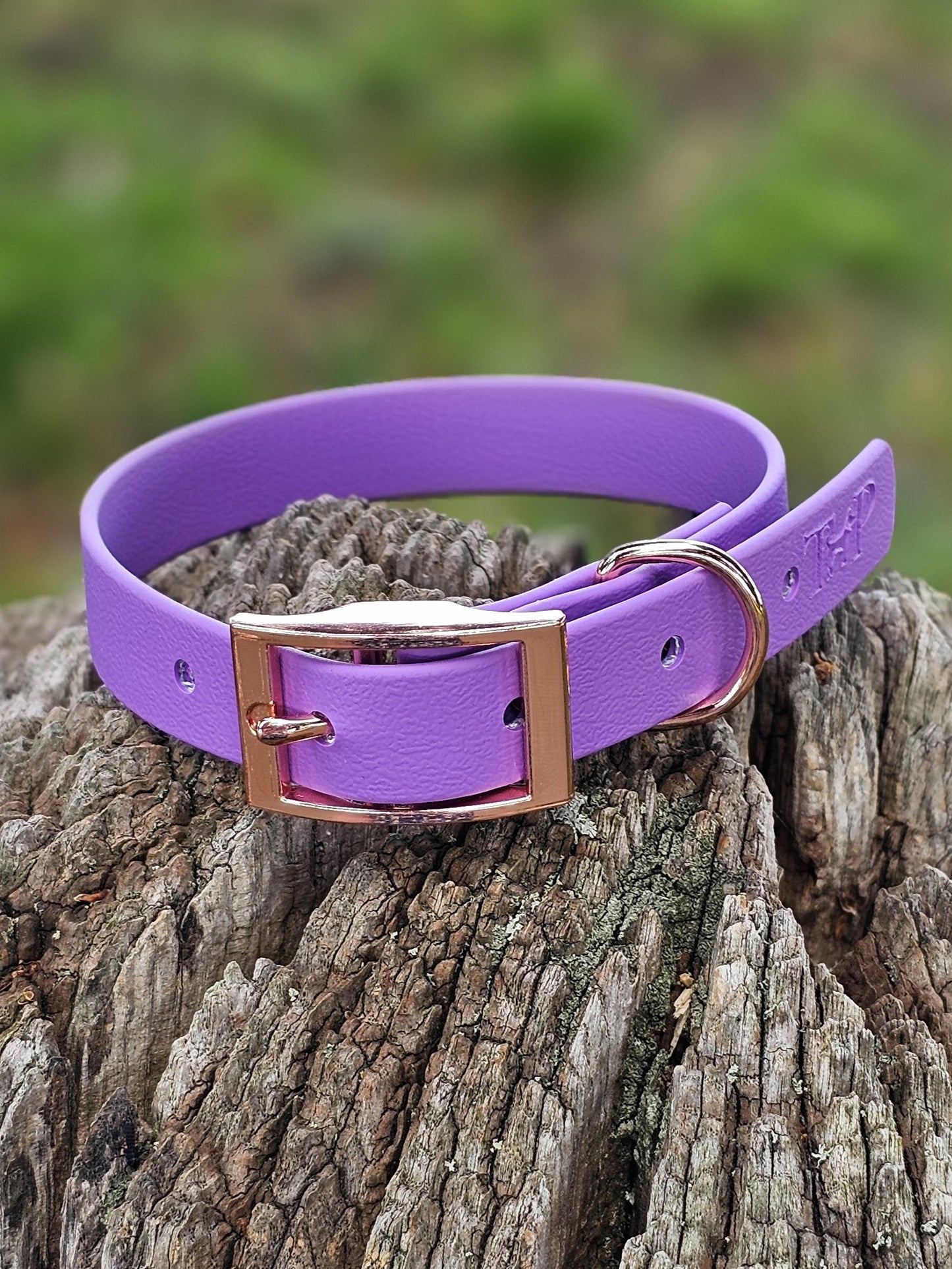 Amethyst - Waterproof BioThane© Dog Collar