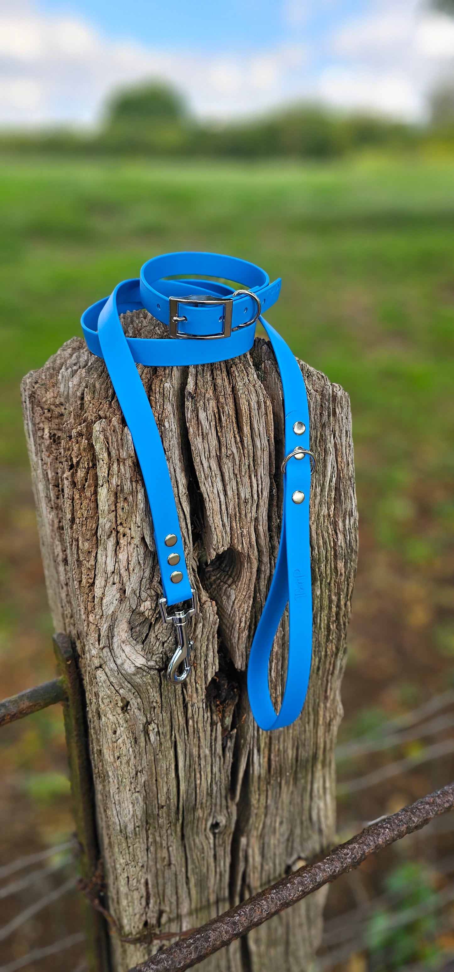 Blue Waterproof BioThane© Dog Collar
