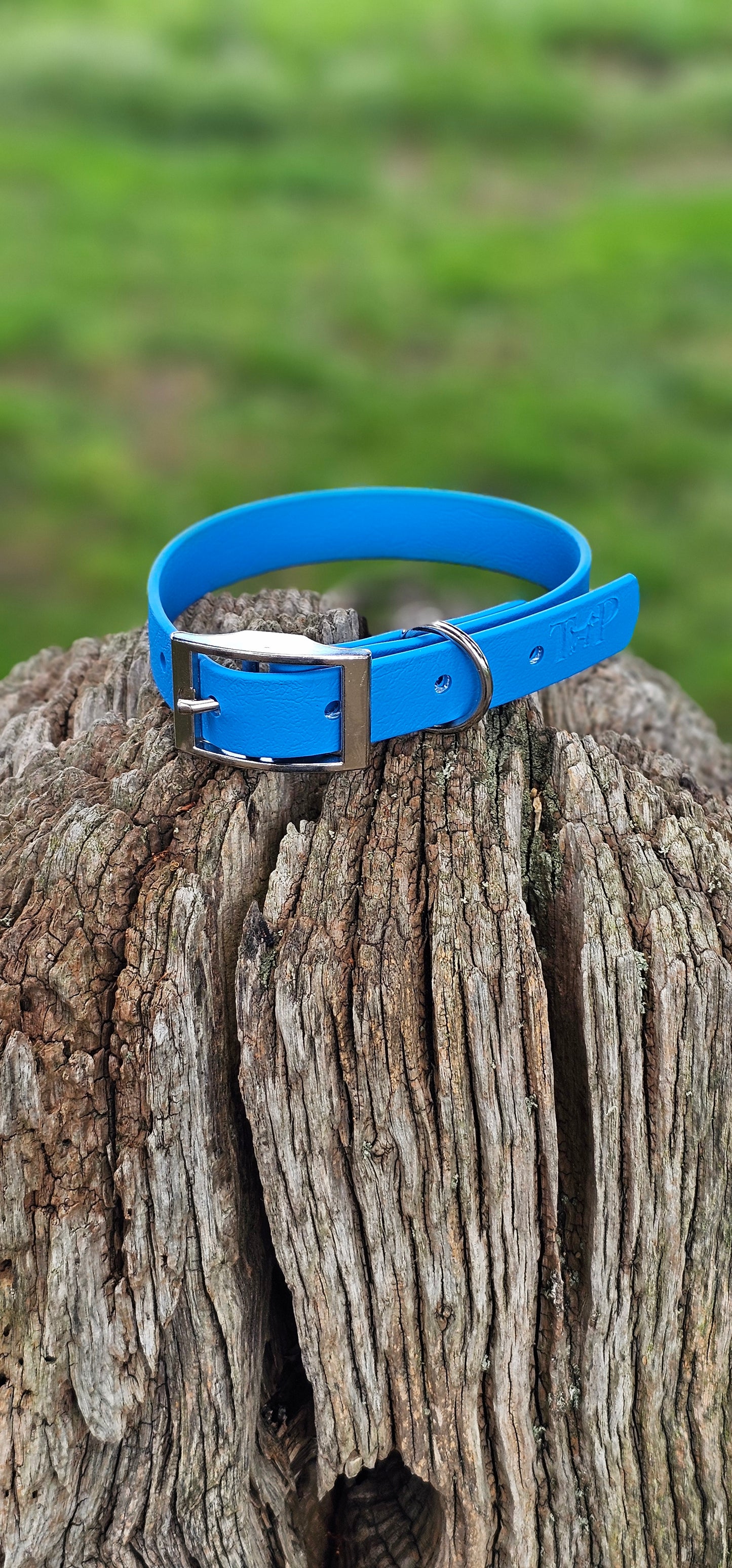 Blue Waterproof BioThane© Dog Collar