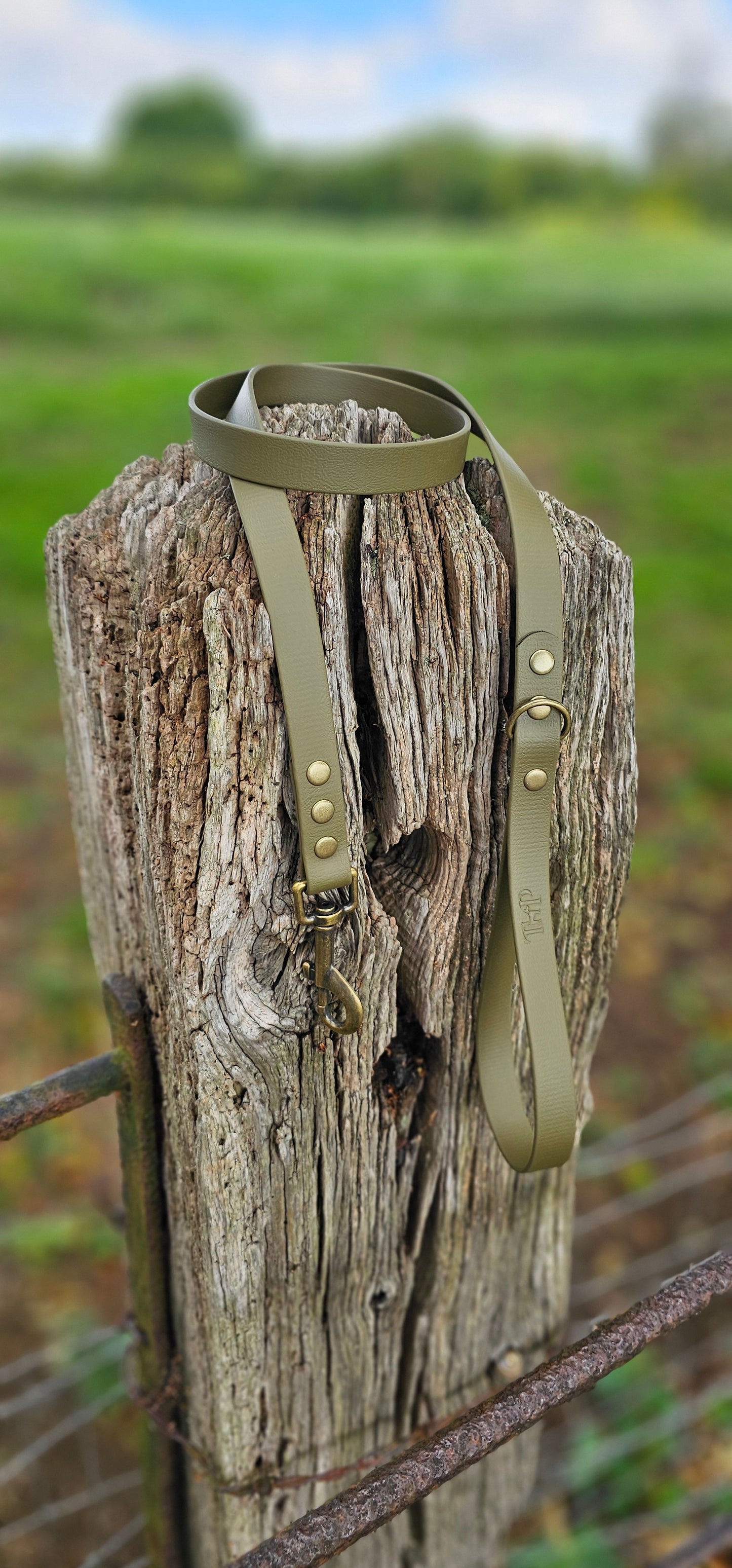 Olive Waterproof BioThane© Dog Lead