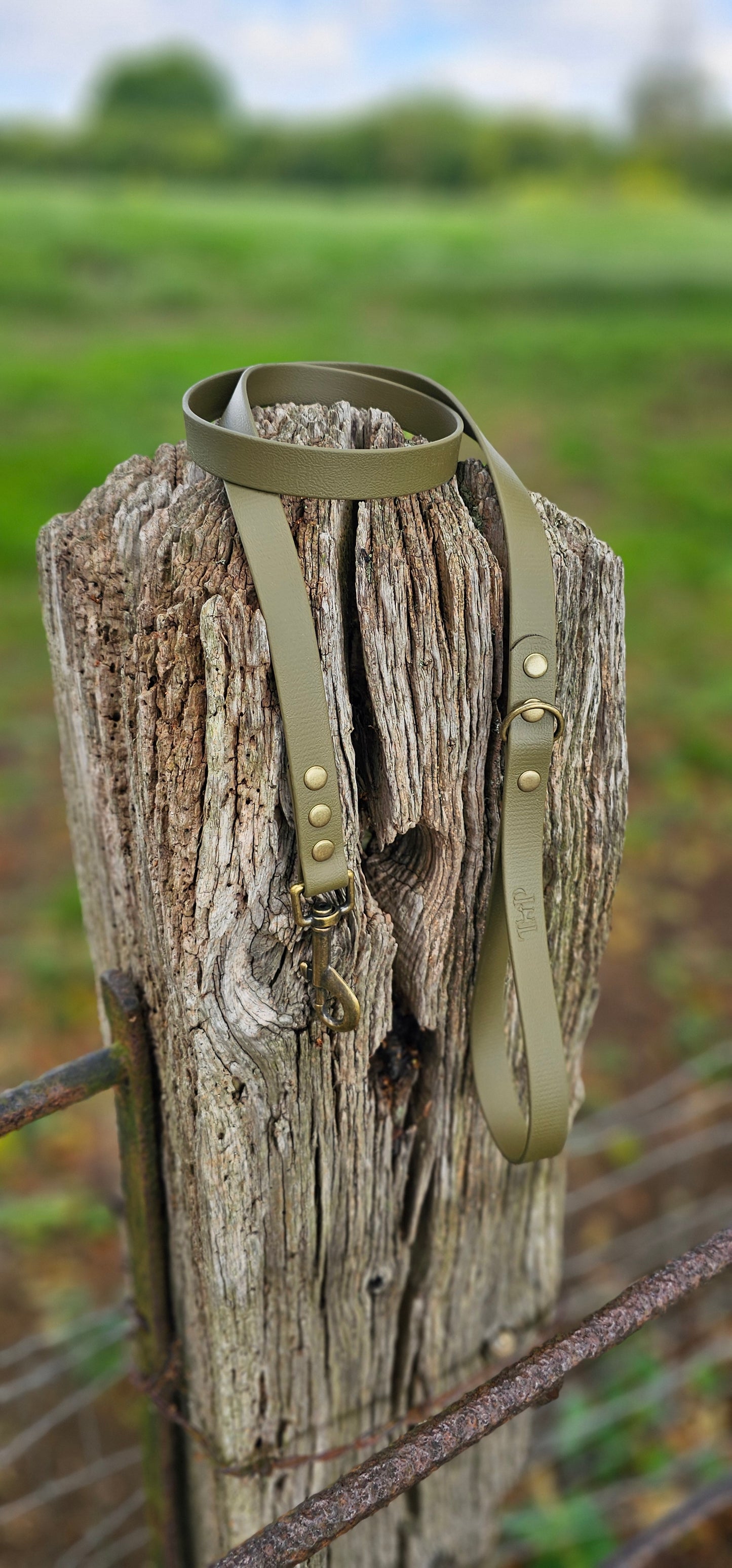 Olive Waterproof BioThane© Dog Lead