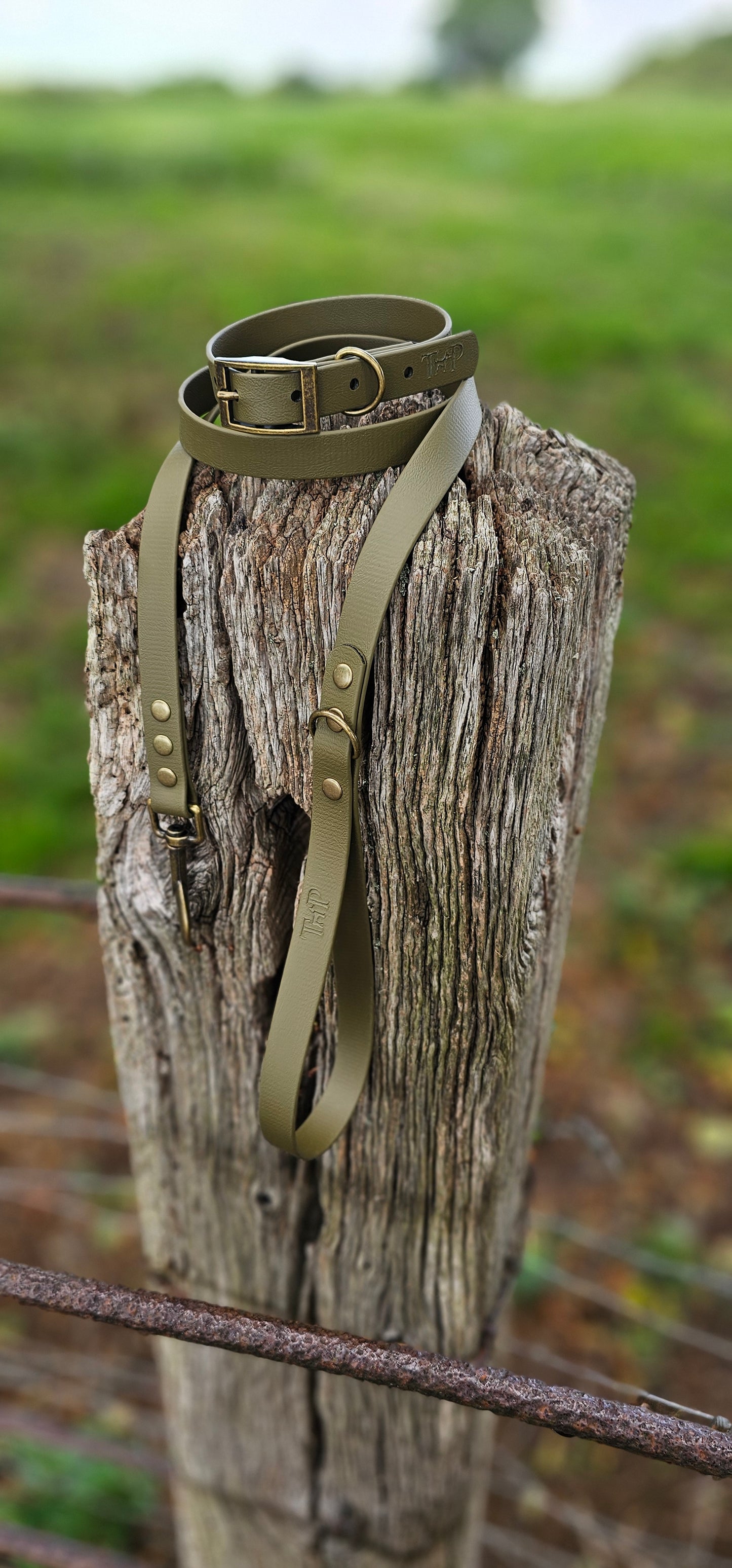 Olive Waterproof BioThane© Dog Collar