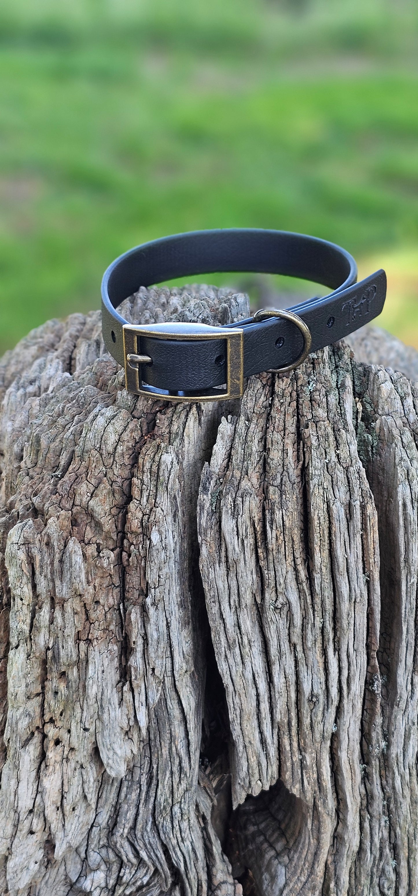 Black Waterproof BioThane© Dog Collar