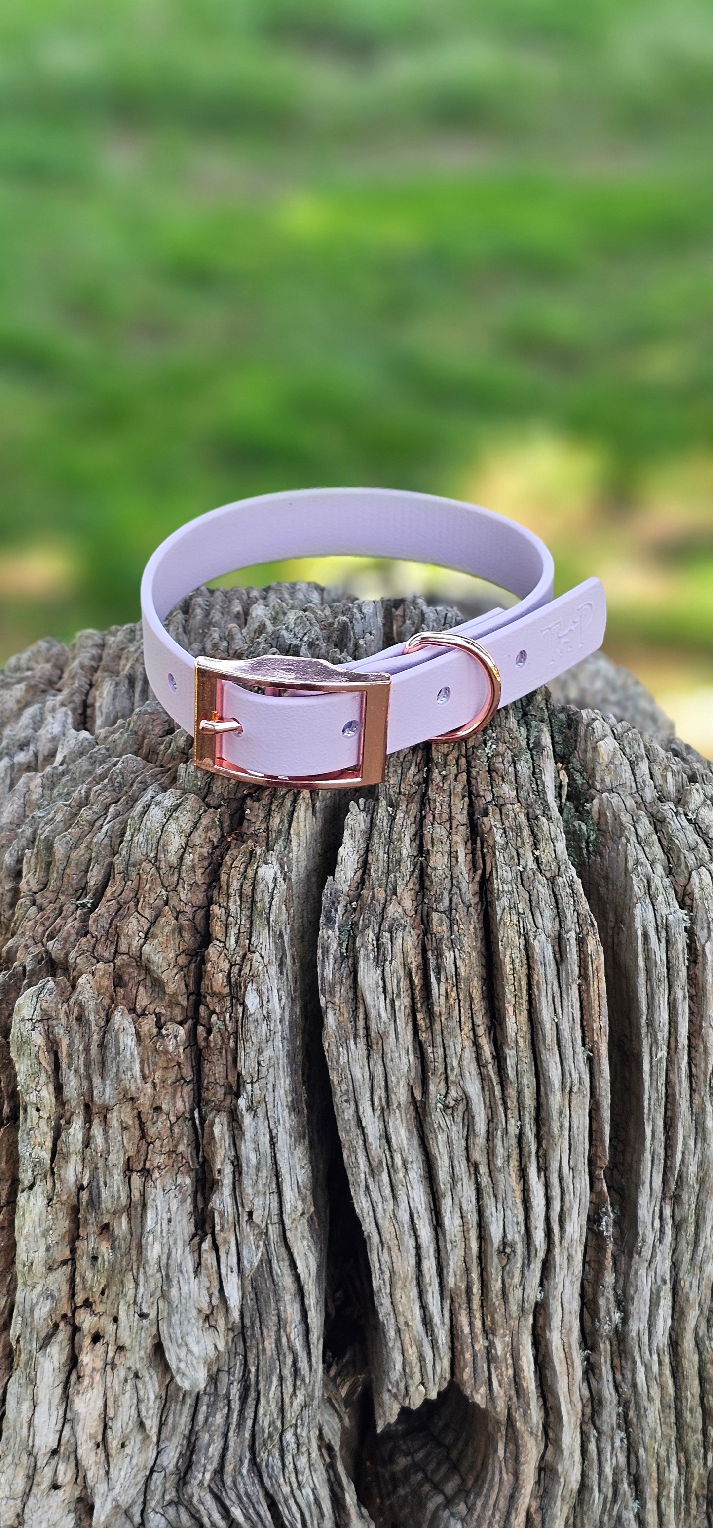 Lilac Waterproof BioThane© Dog Collar