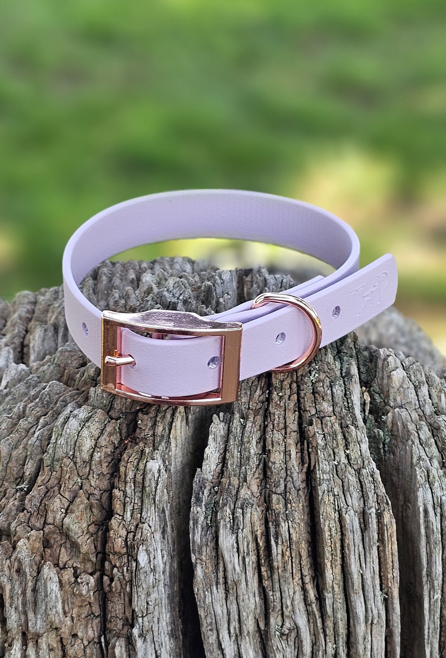 Lilac - Waterproof BioThane© Dog Collar