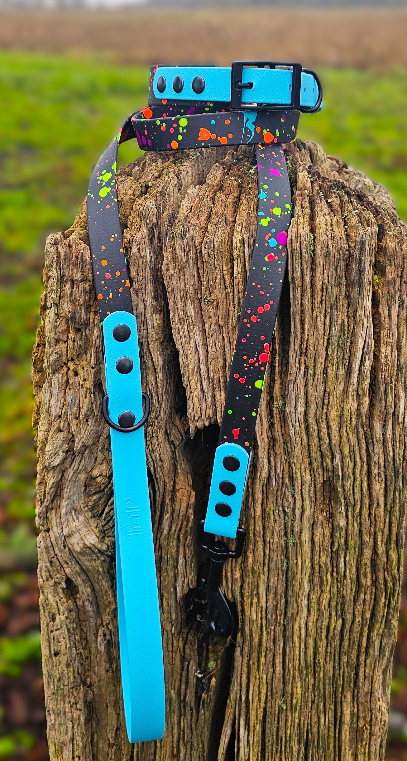 Black & Neon Blue – Waterproof BioThane® Splatter Dog Collar (Neon Collection)